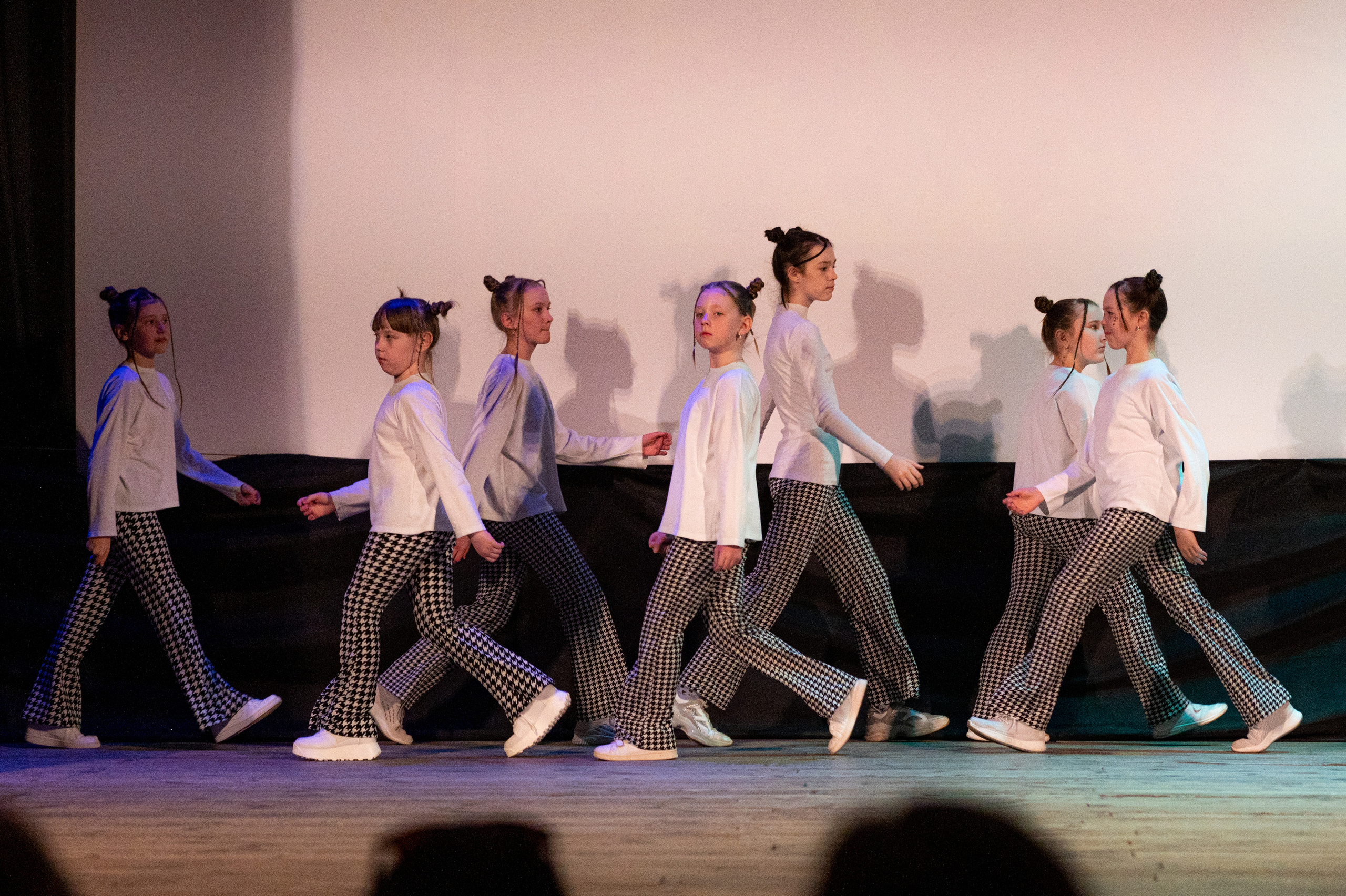 Истоки — концерт посвященный дню работников культуры. Конный и фотограф с животными в Твери Топталова Люся