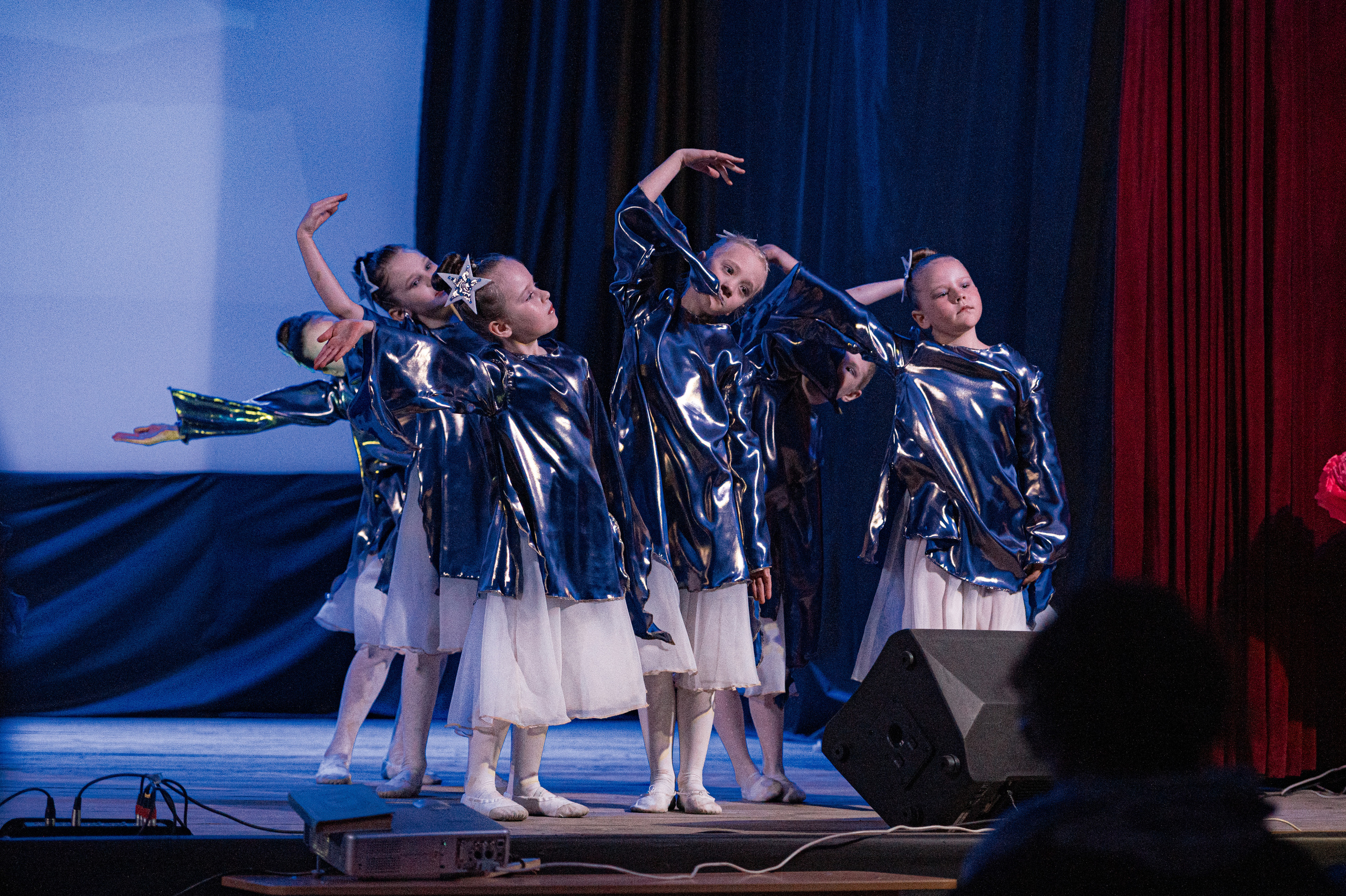 Истоки — концерт посвященный дню работников культуры. Конный и фотограф с животными в Твери Топталова Люся