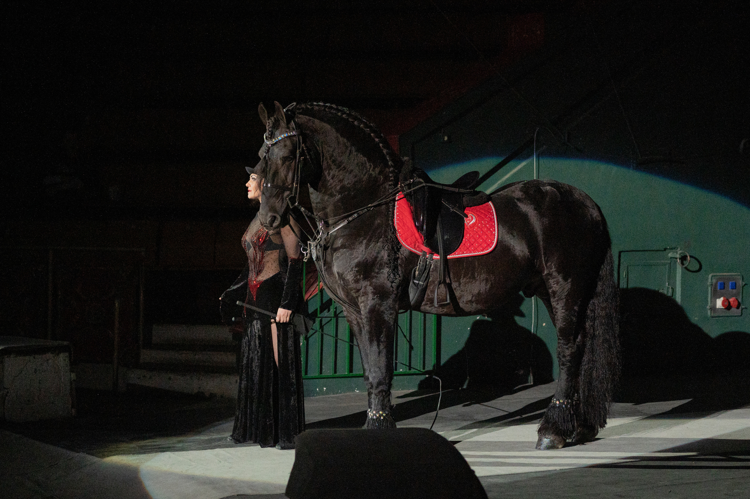 Тверской цирк «Юбилейная программа». Конный и фотограф с животными в Твери Топталова Люся