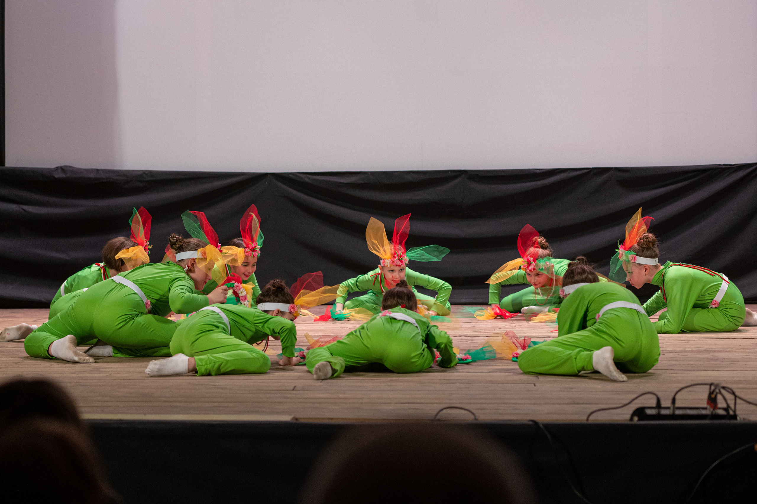 Истоки — концерт посвященный дню работников культуры. Конный и фотограф с животными в Твери Топталова Люся