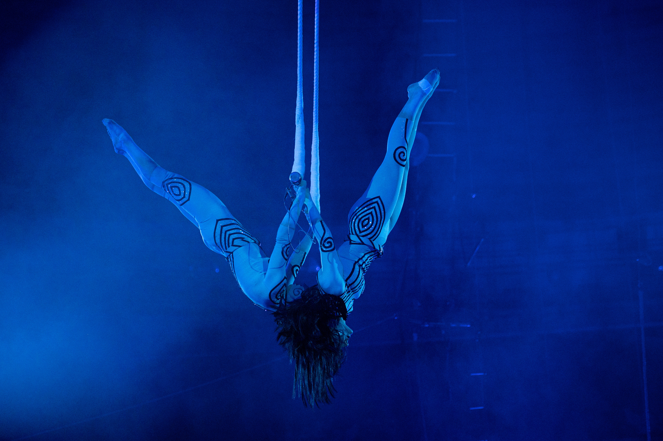 Тверской цирк «Юбилейная программа». Конный и фотограф с животными в Твери Топталова Люся