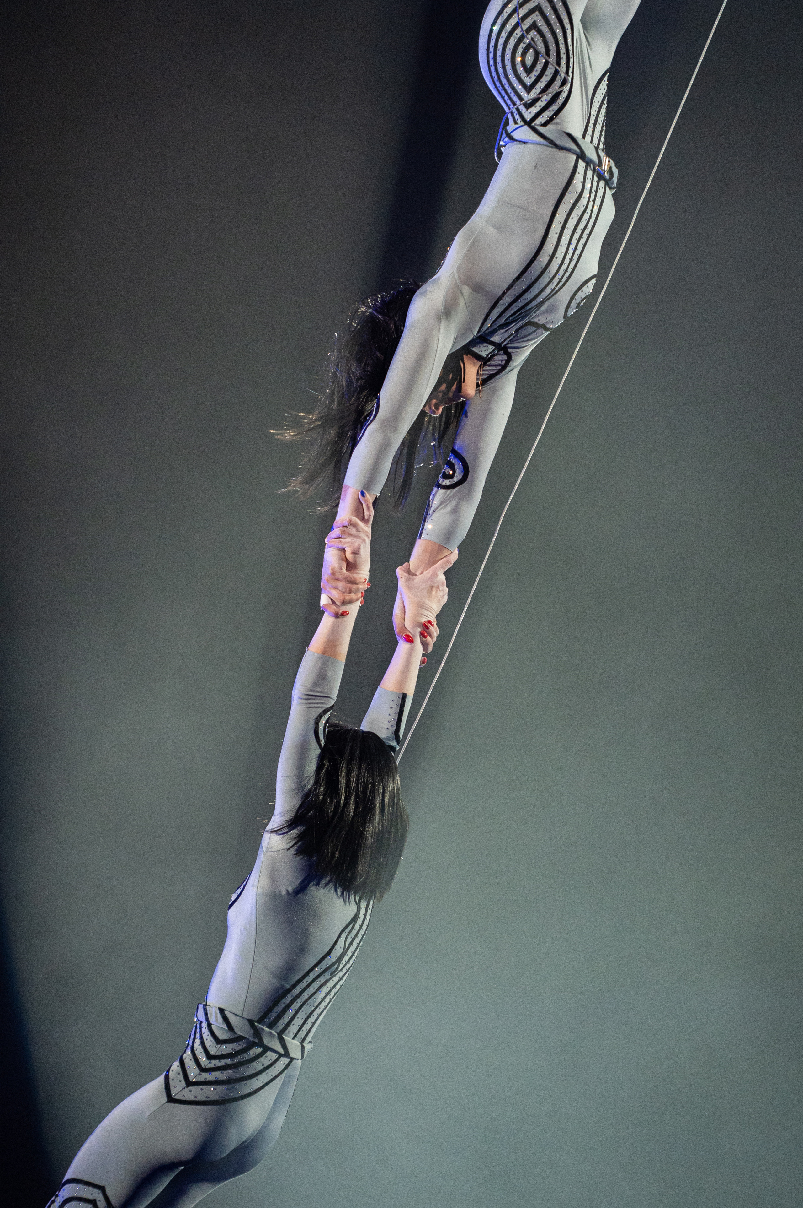 Тверской цирк «Юбилейная программа». Конный и фотограф с животными в Твери Топталова Люся