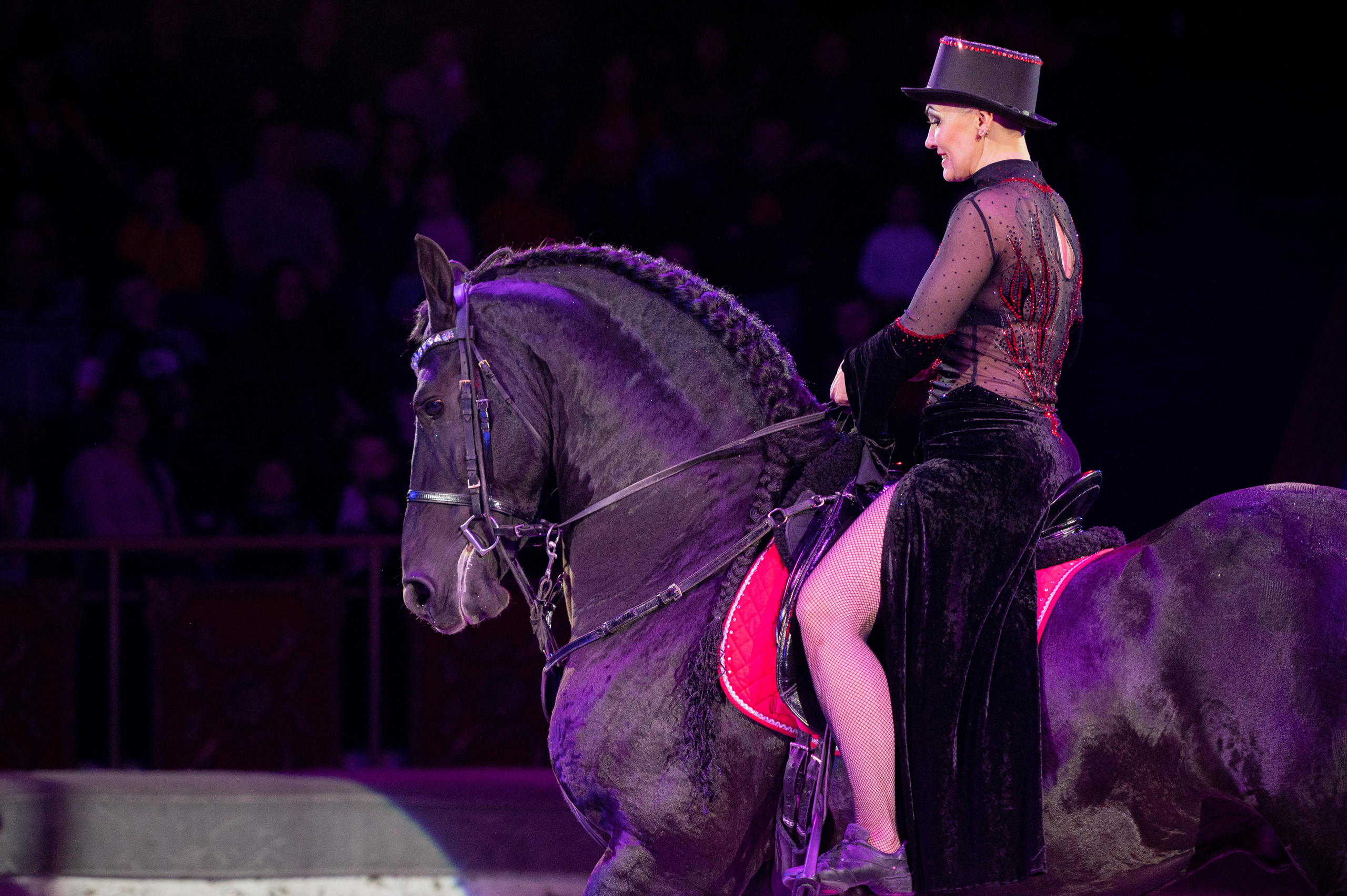 Тверской цирк «Юбилейная программа». Конный и фотограф с животными в Твери Топталова Люся