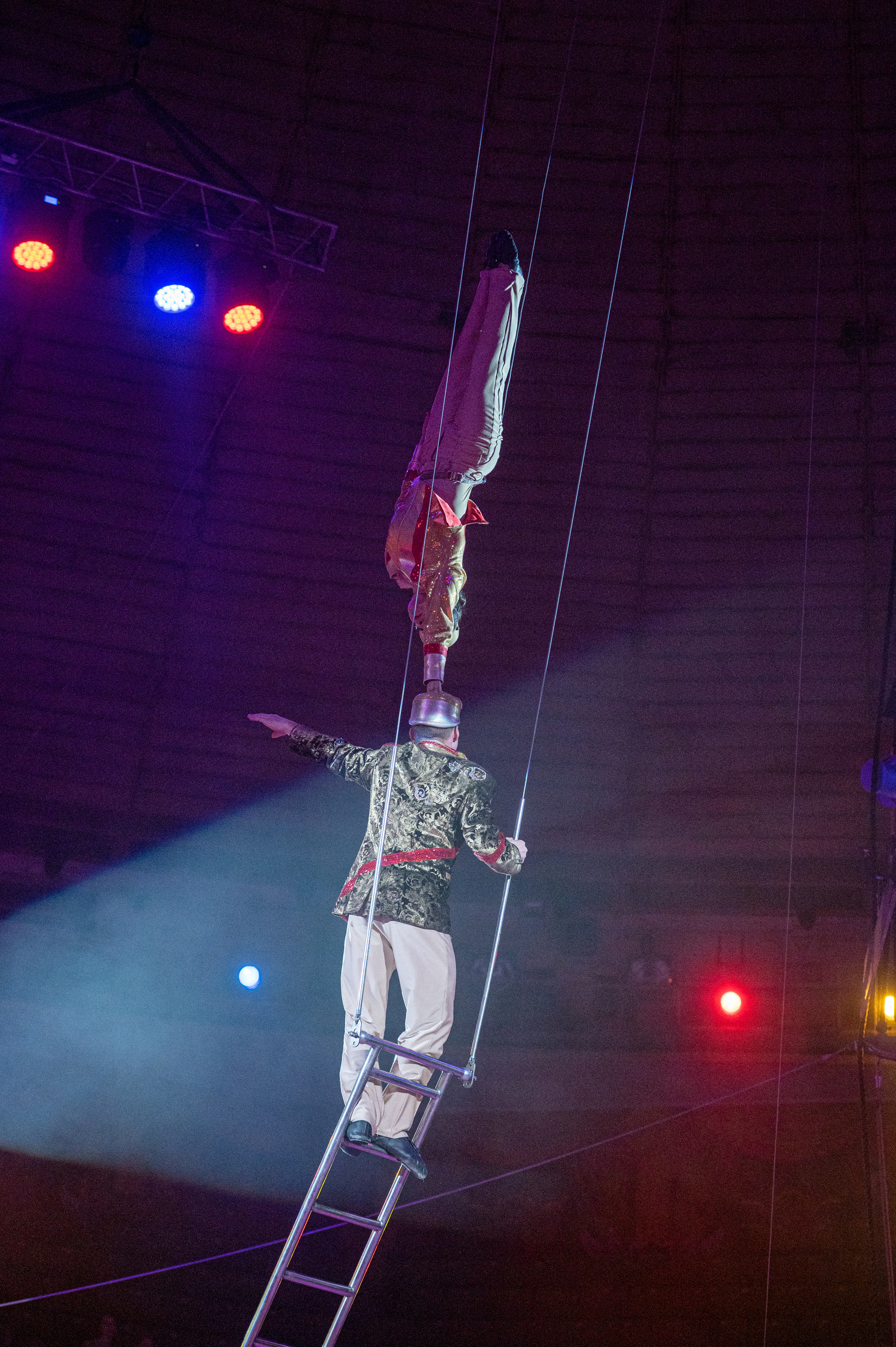 Тверской цирк «Юбилейная программа». Конный и фотограф с животными в Твери Топталова Люся