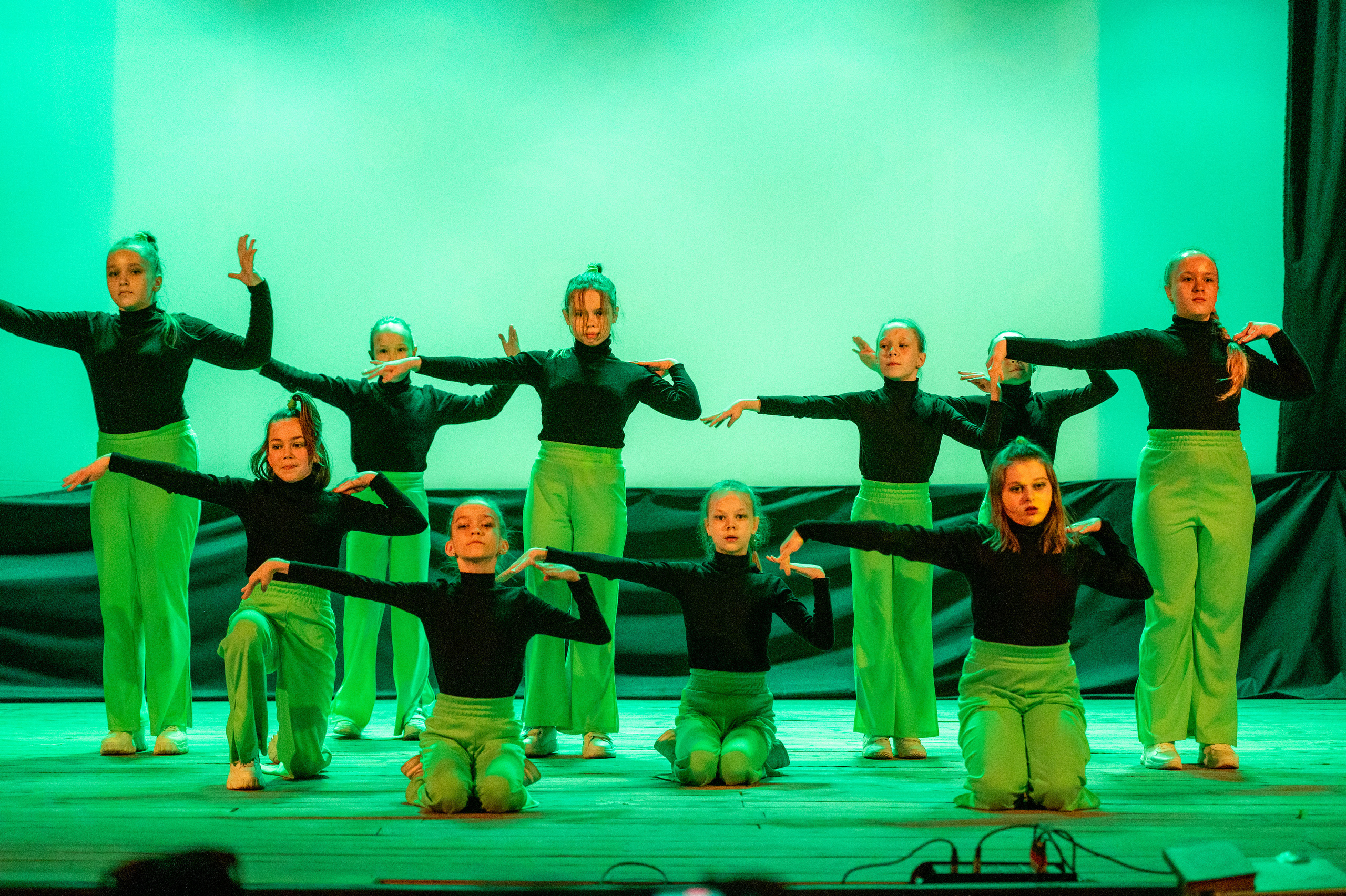 Истоки — концерт посвященный дню работников культуры. Конный и фотограф с животными в Твери Топталова Люся