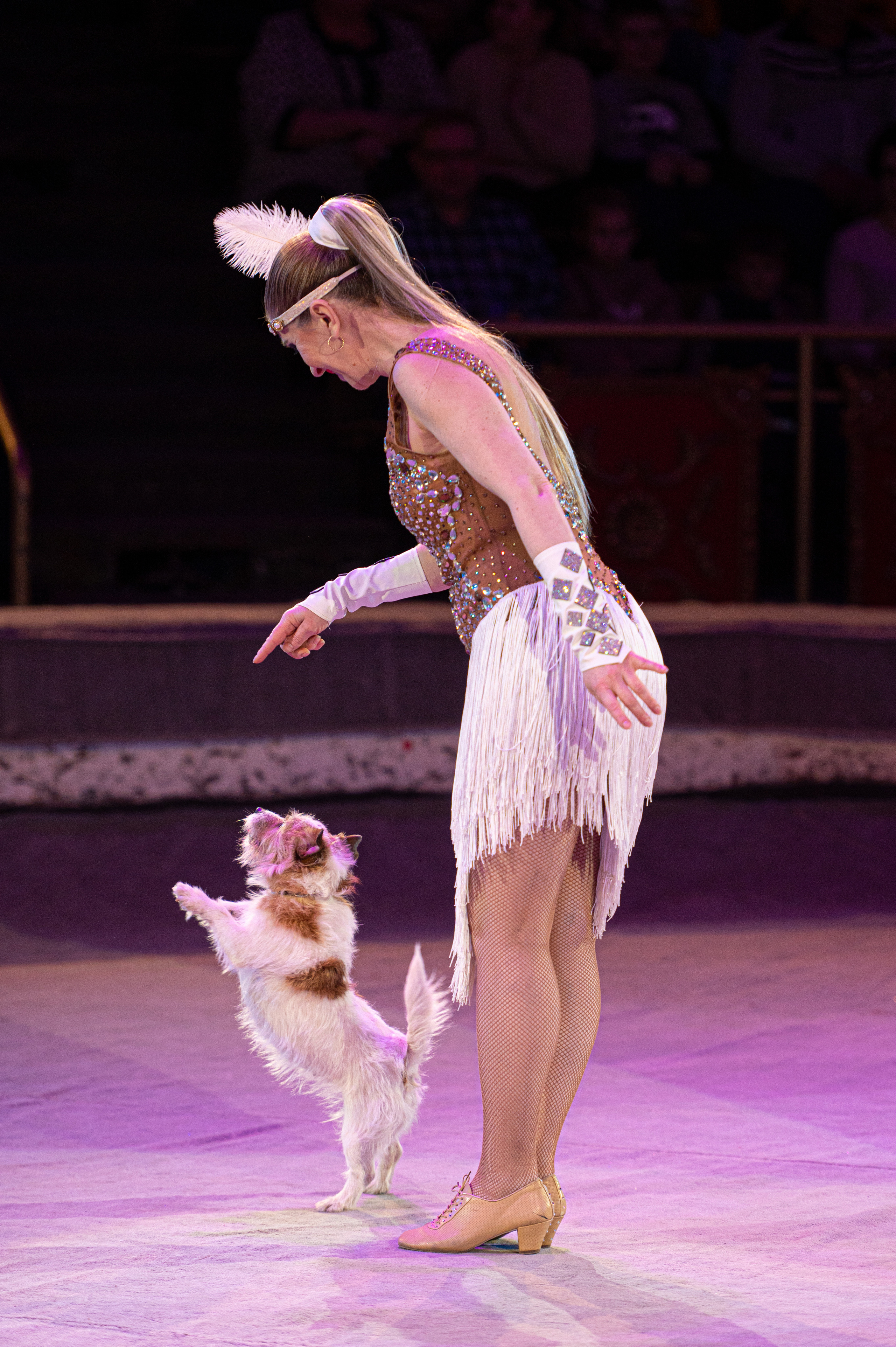 Тверской цирк «Юбилейная программа». Конный и фотограф с животными в Твери Топталова Люся