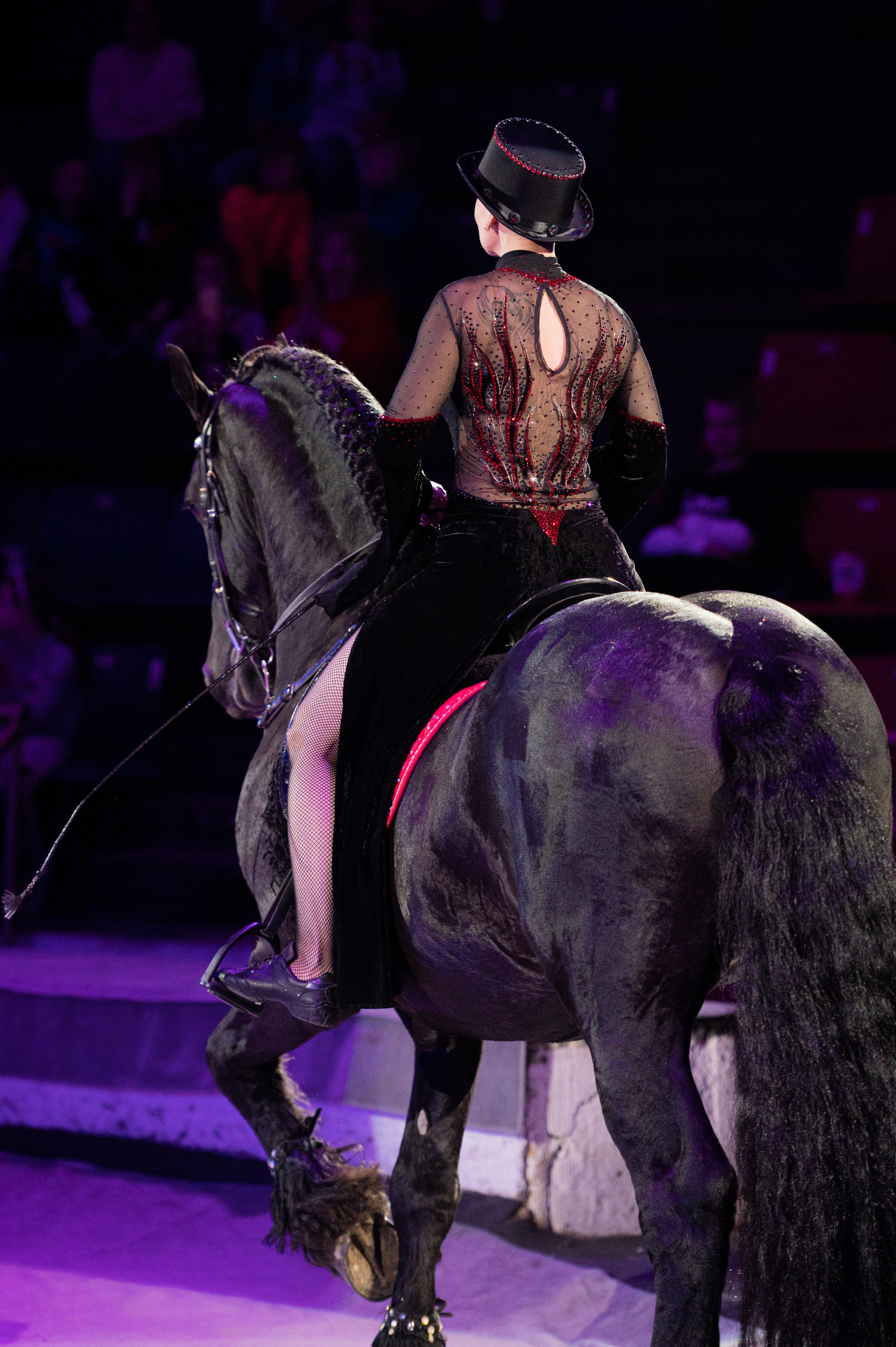 Тверской цирк «Юбилейная программа». Конный и фотограф с животными в Твери Топталова Люся