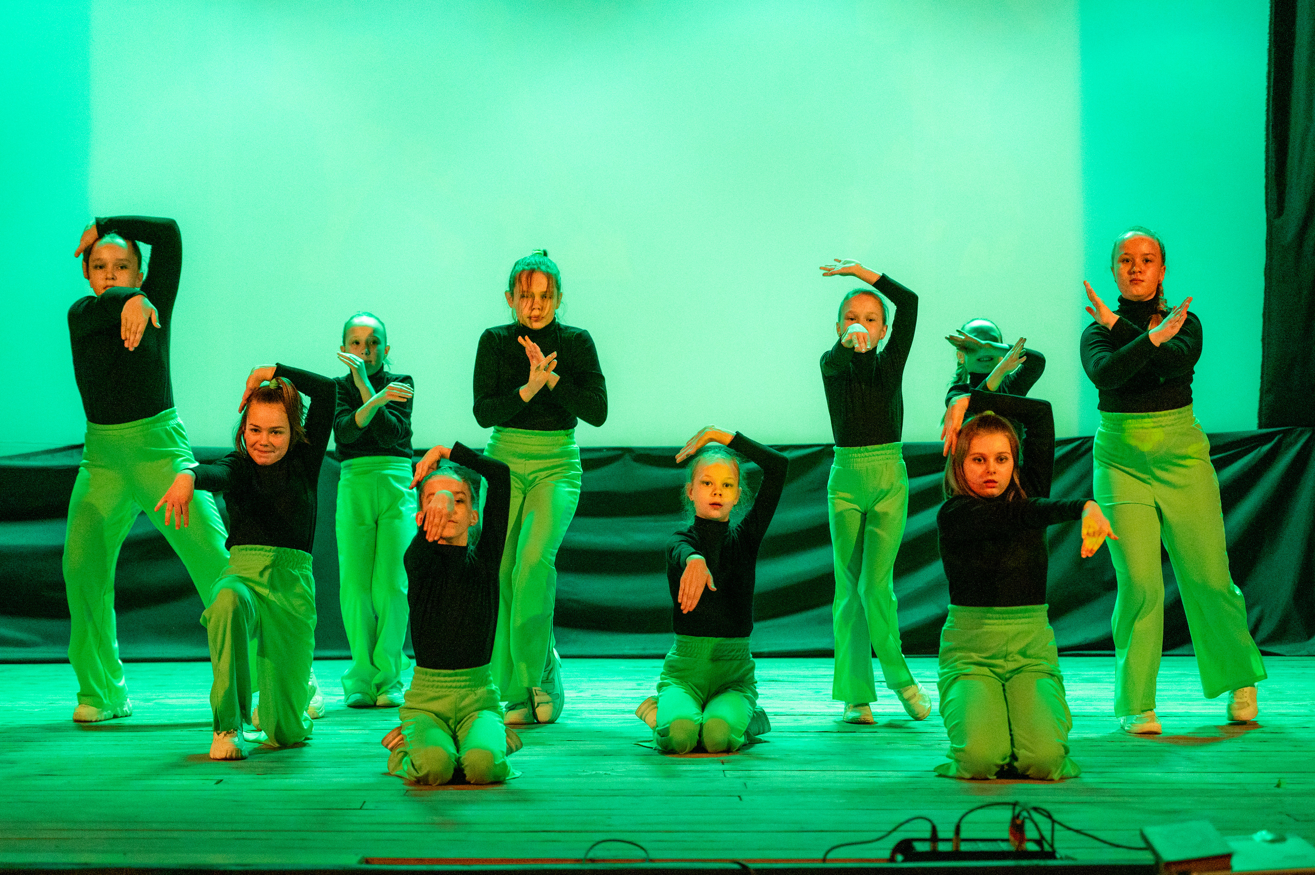 Истоки — концерт посвященный дню работников культуры. Конный и фотограф с животными в Твери Топталова Люся