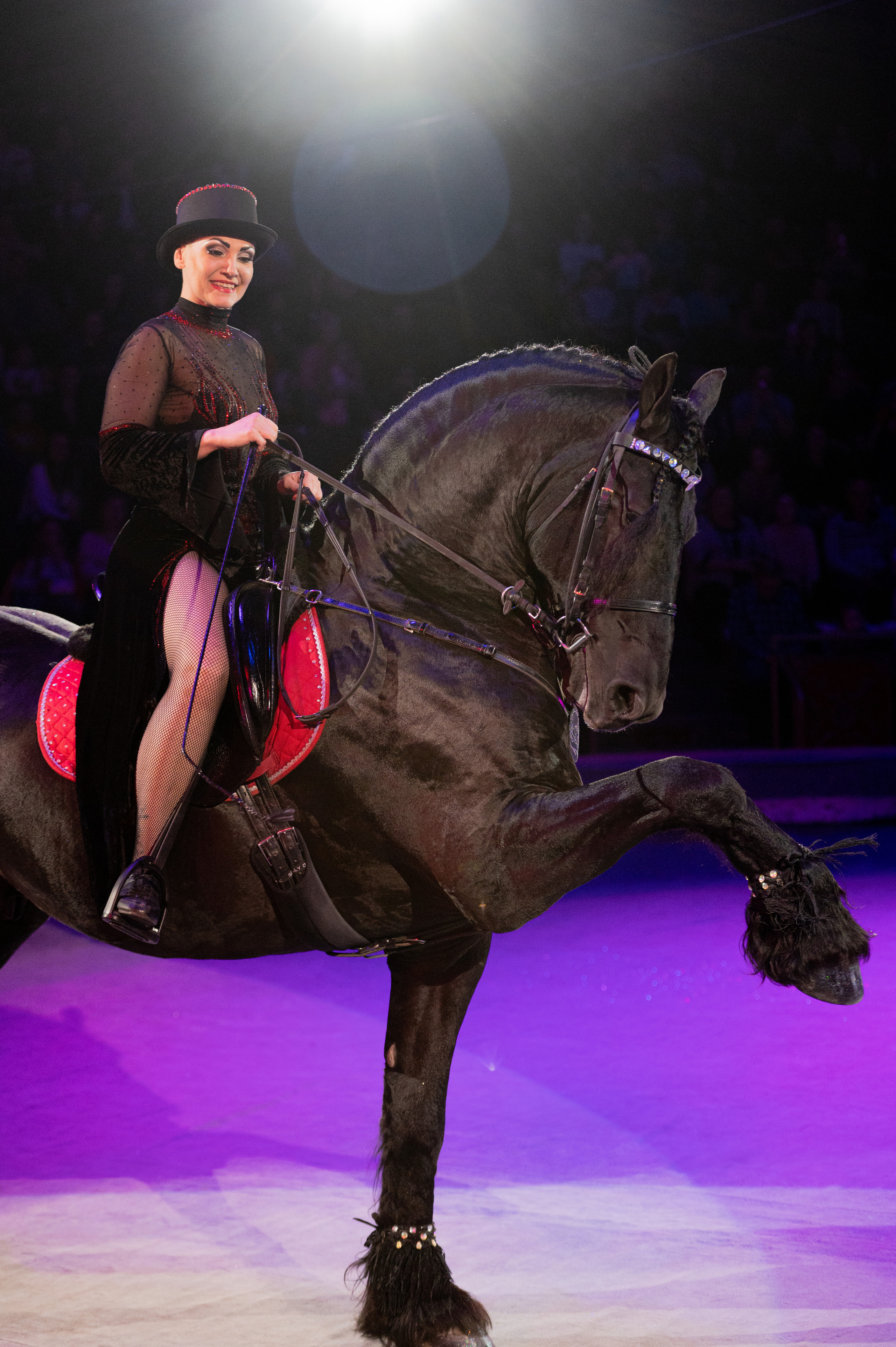 Тверской цирк «Юбилейная программа». Конный и фотограф с животными в Твери Топталова Люся