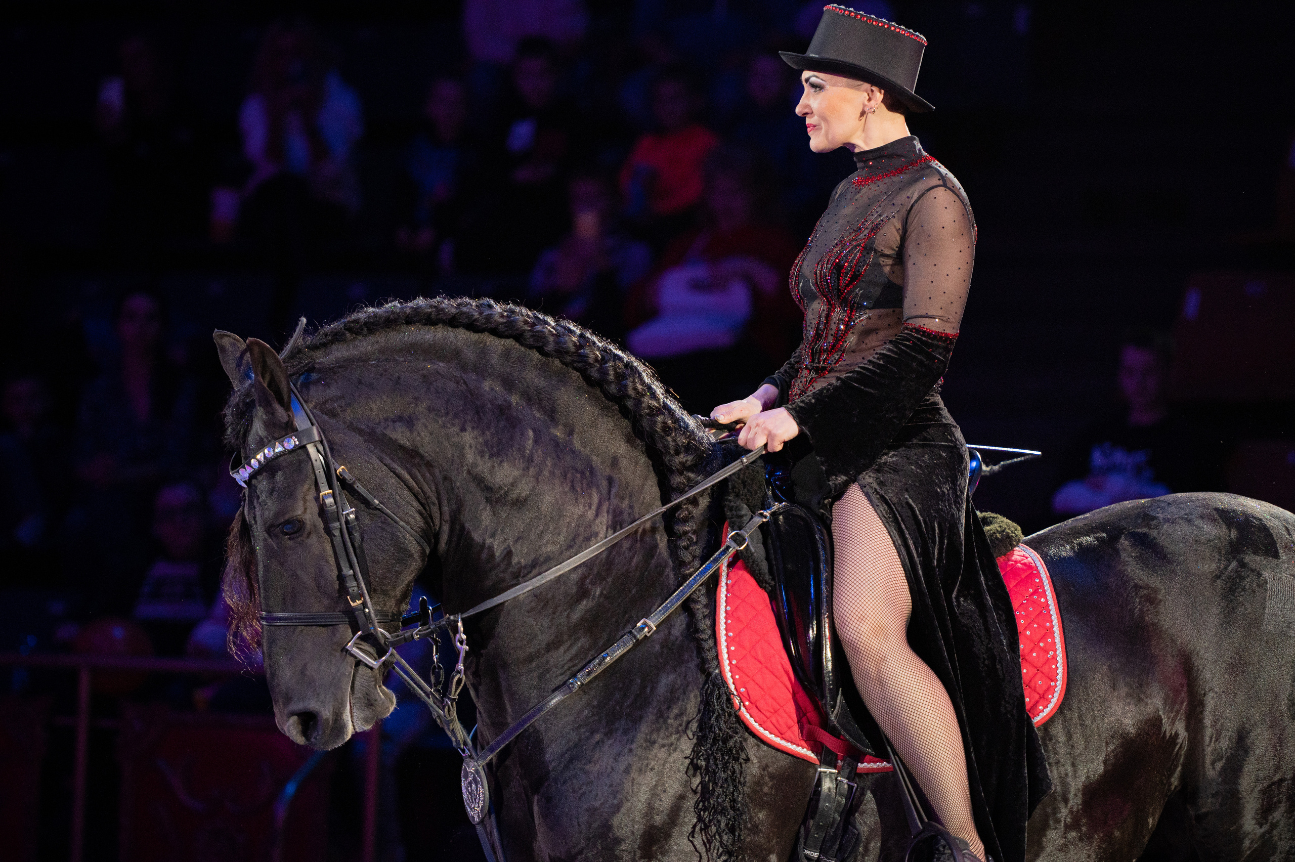 Тверской цирк «Юбилейная программа». Конный и фотограф с животными в Твери Топталова Люся