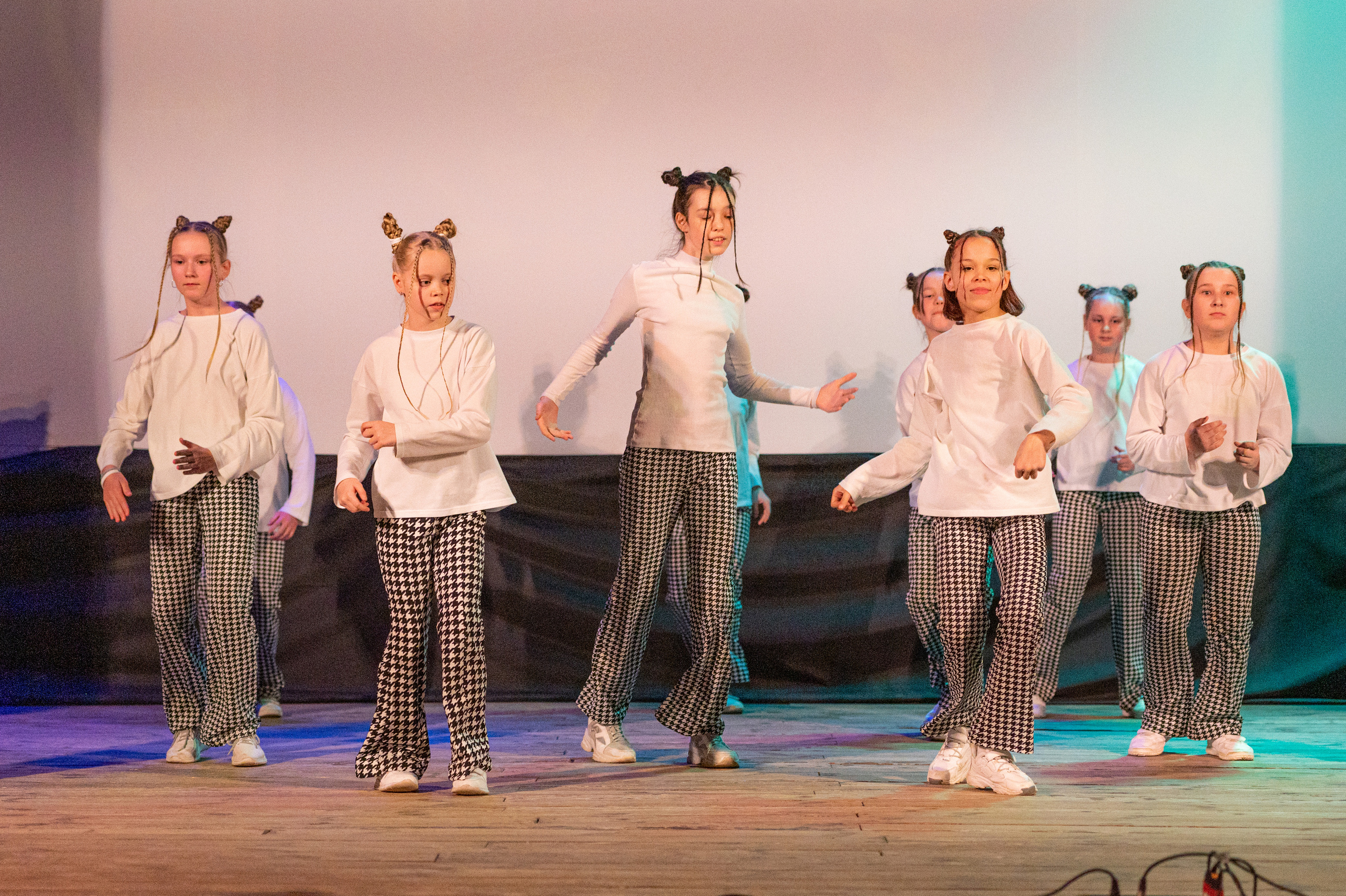 Истоки — концерт посвященный дню работников культуры. Конный и фотограф с животными в Твери Топталова Люся