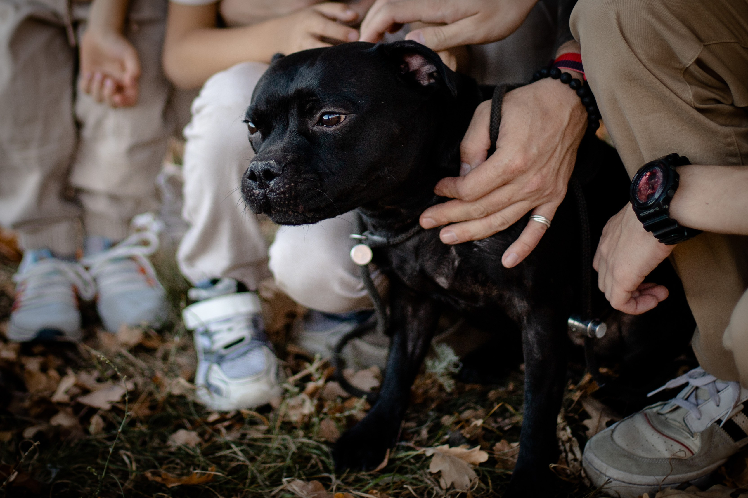 Лето. Семейная фотоистория. Семейный фотограф в Саратове Элоиза Ляпина