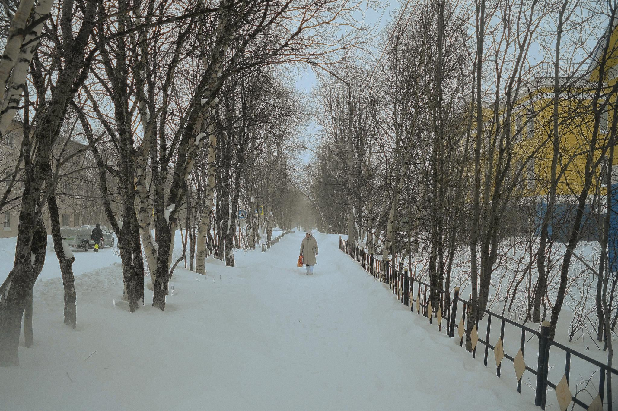 Фототур к северным оленям и саамам. 5–9 марта