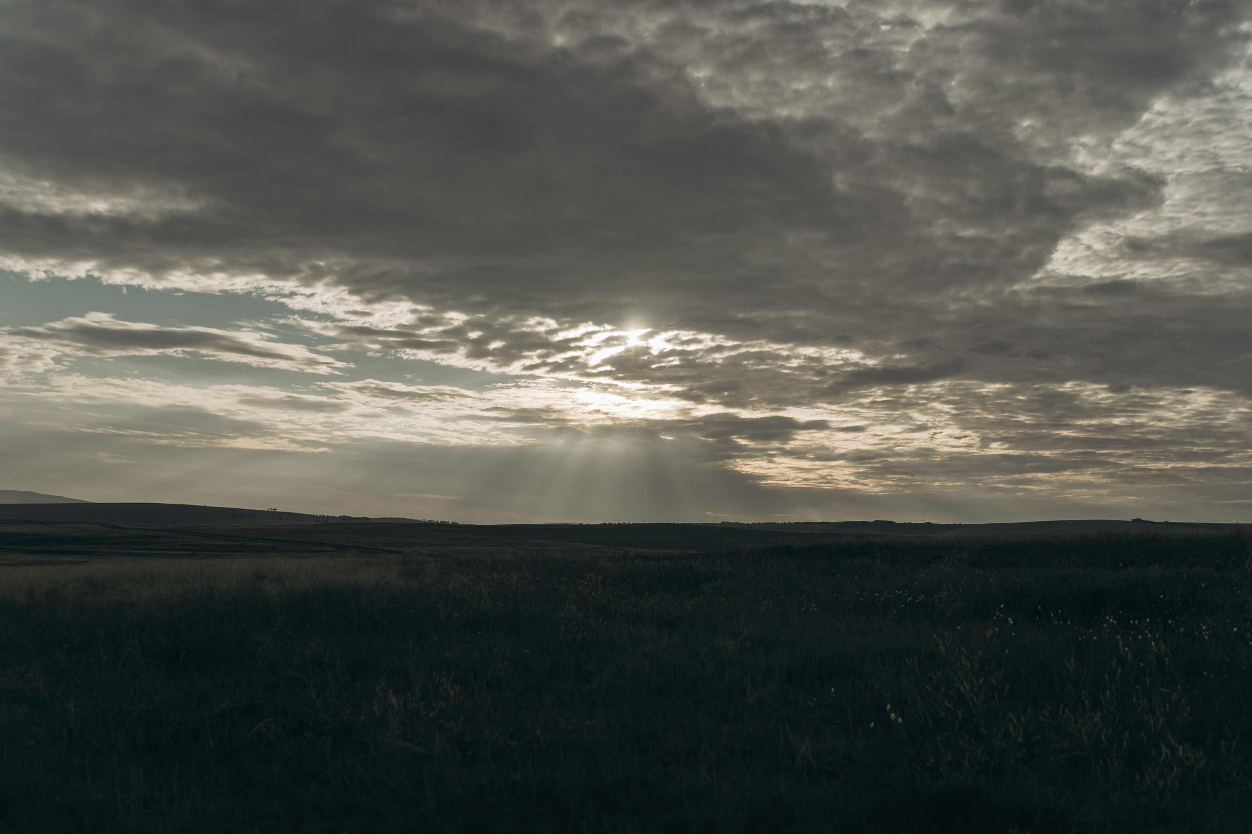 Семья Монастыршиных. Свадебный и семейный фотограф в Абакане Василевский Алексей