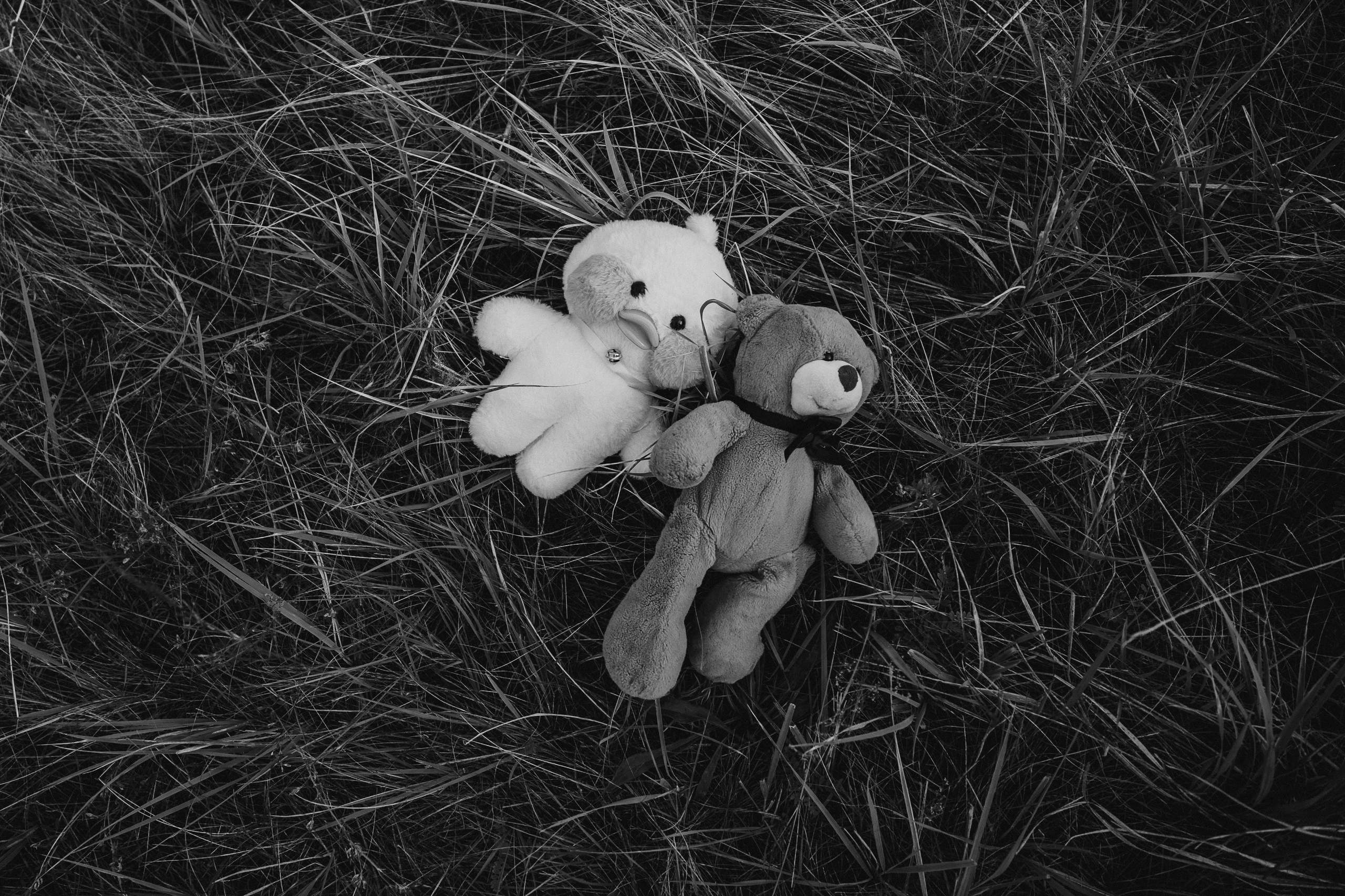 Семья Паниных. Свадебный и семейный фотограф в Абакане Василевский Алексей