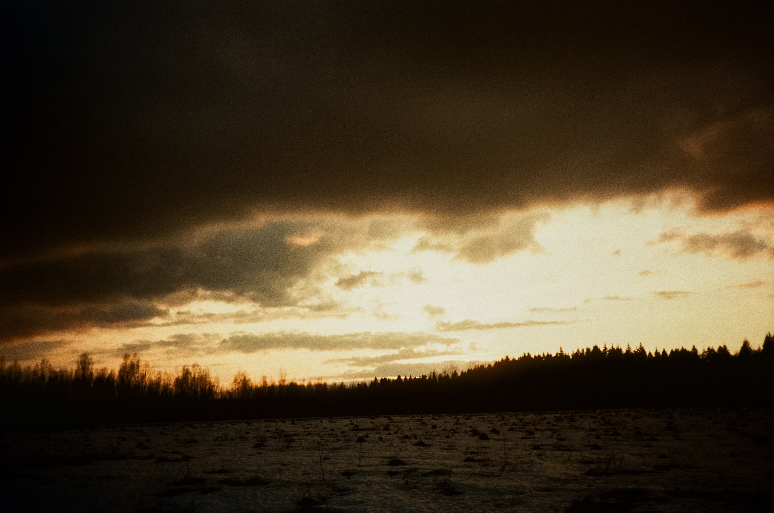 Ricoh FF-300D / Fujifilm X-tra 400 (просрочка) / Лукино март 2024 г