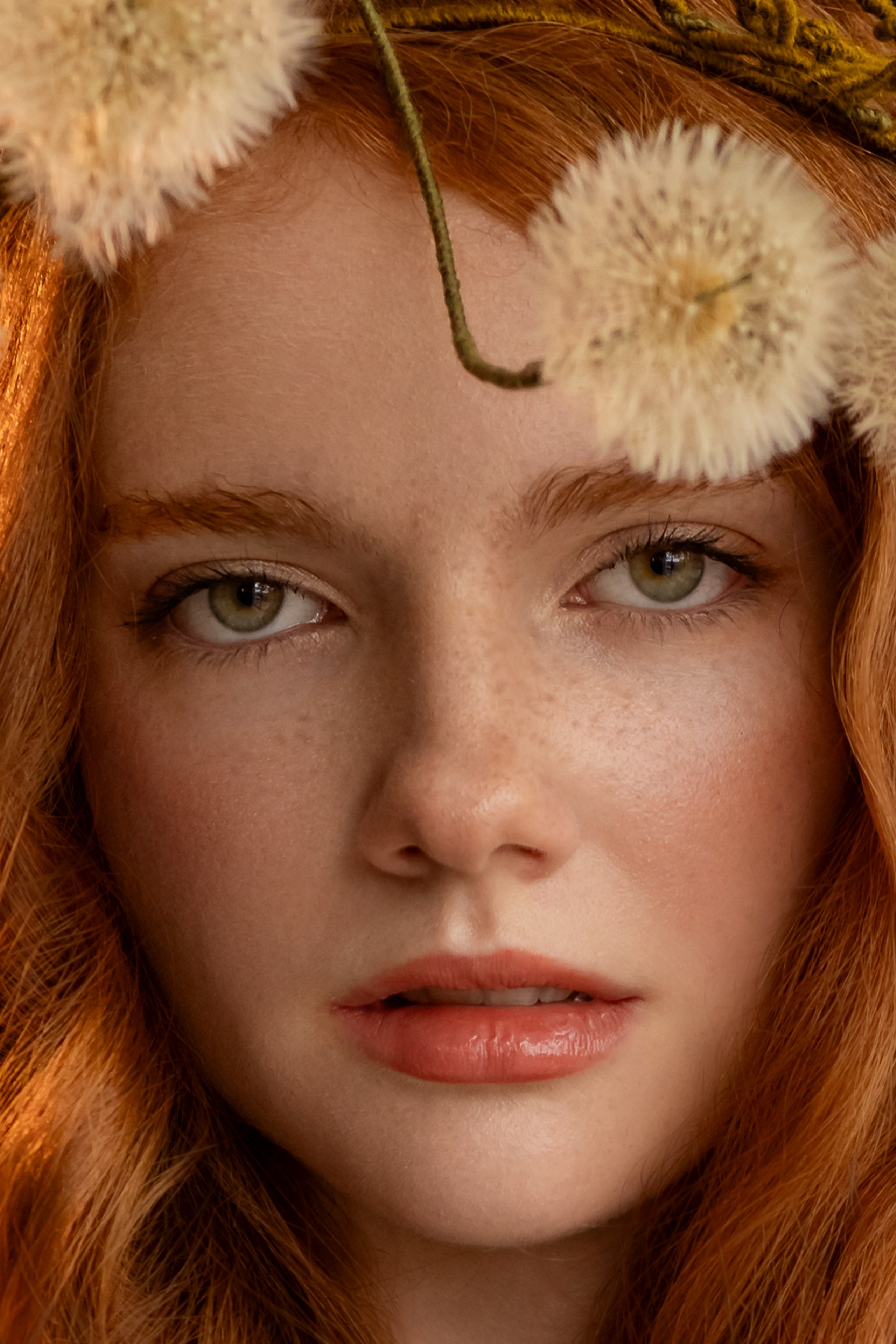 Фото. Фотографии одуванчики.