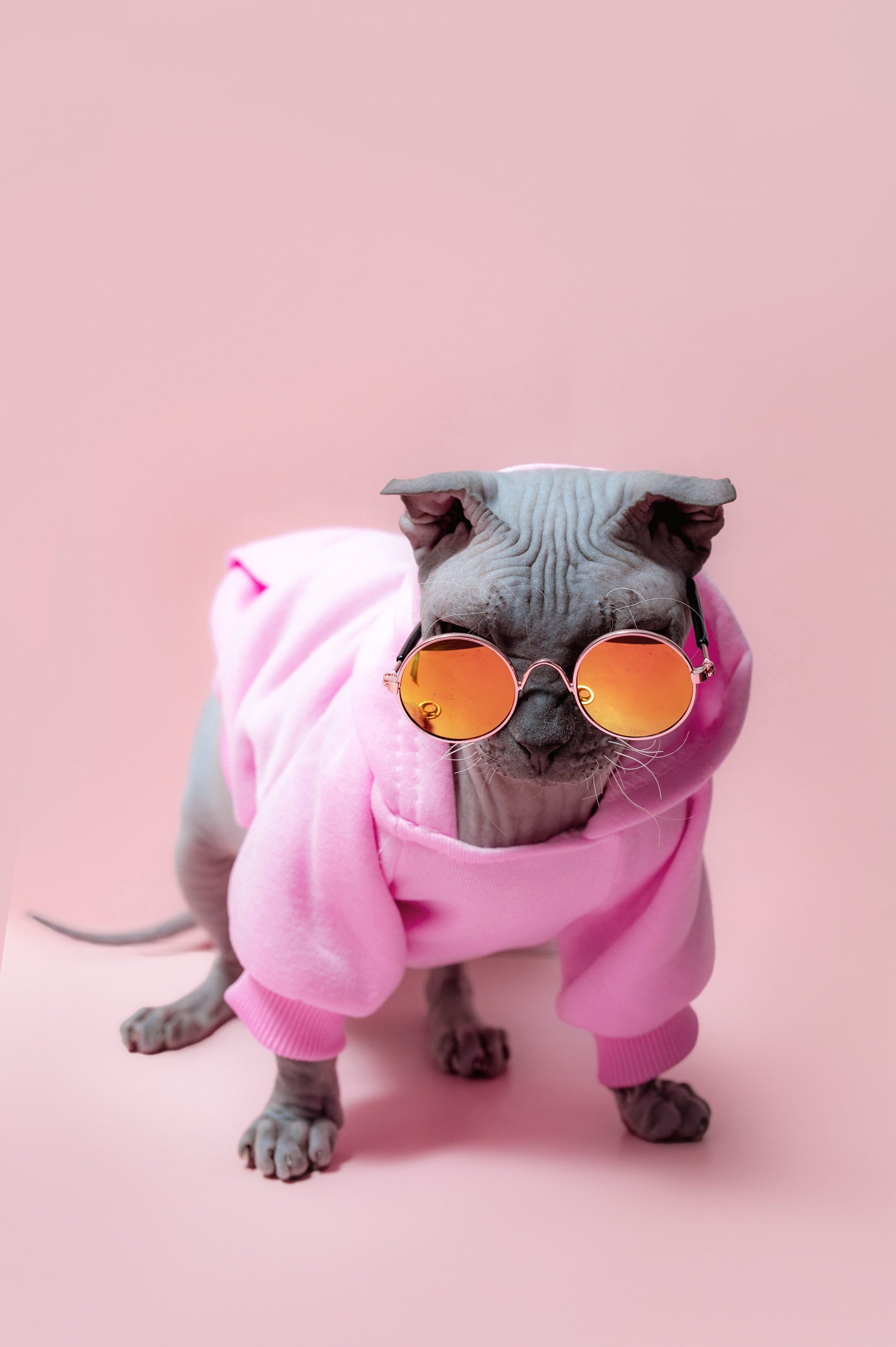 Коммерческий фотограф в Казани Ксения Добролюбова