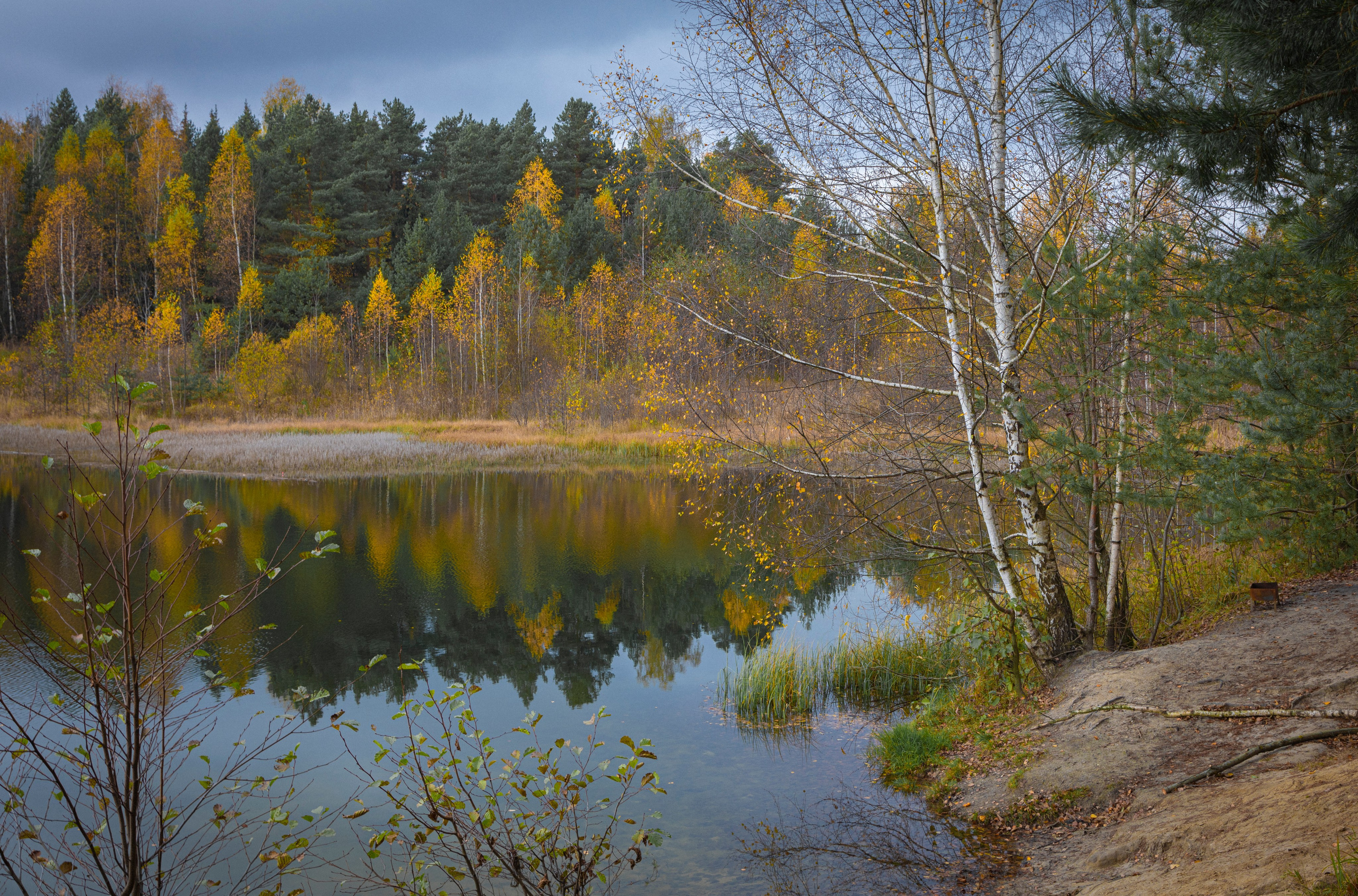 Осень. Свадьбы, портретная, предметная съемка. Фотограф Александр К