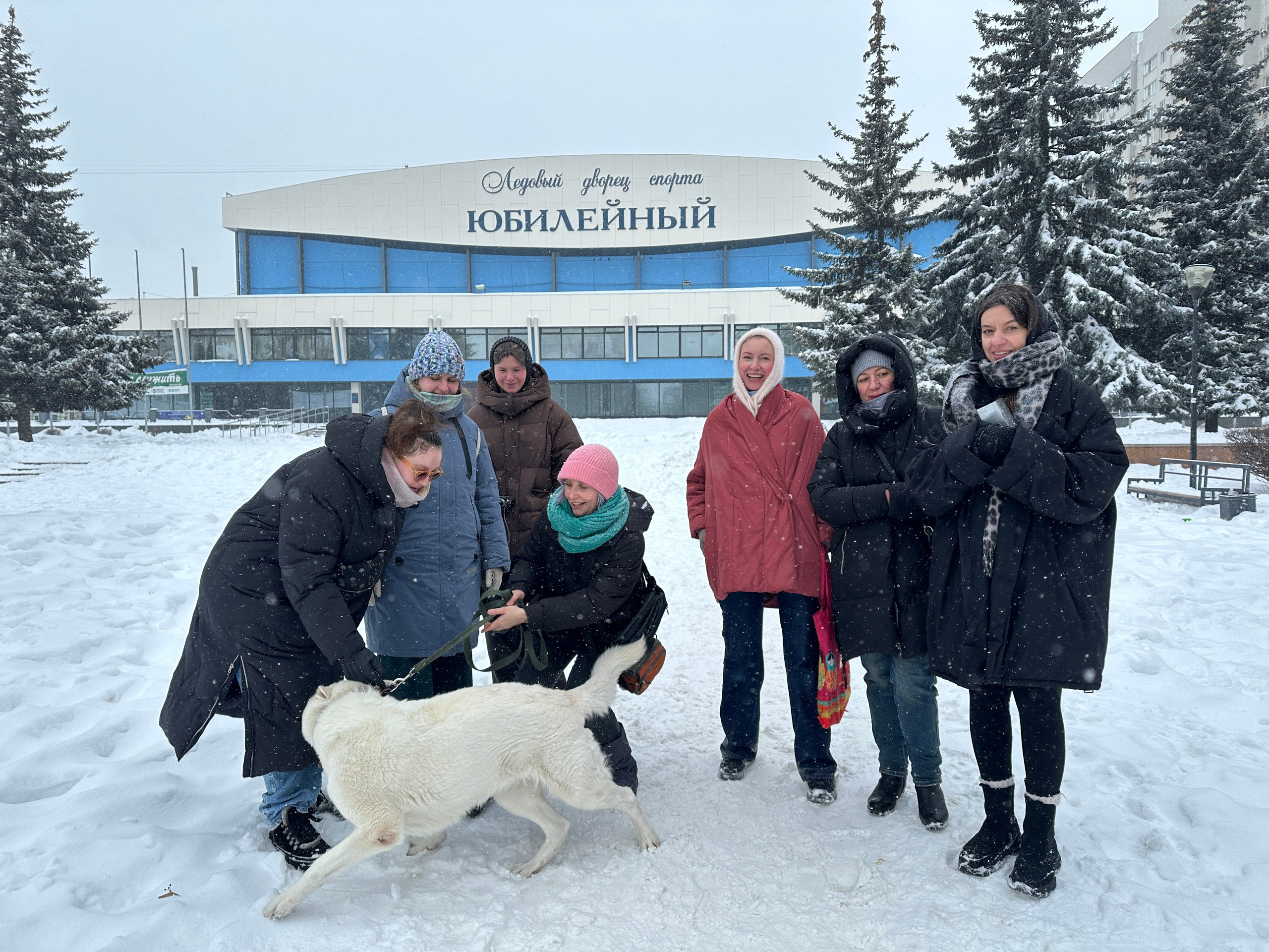 Улица Маркса. «ФотоСинтез»