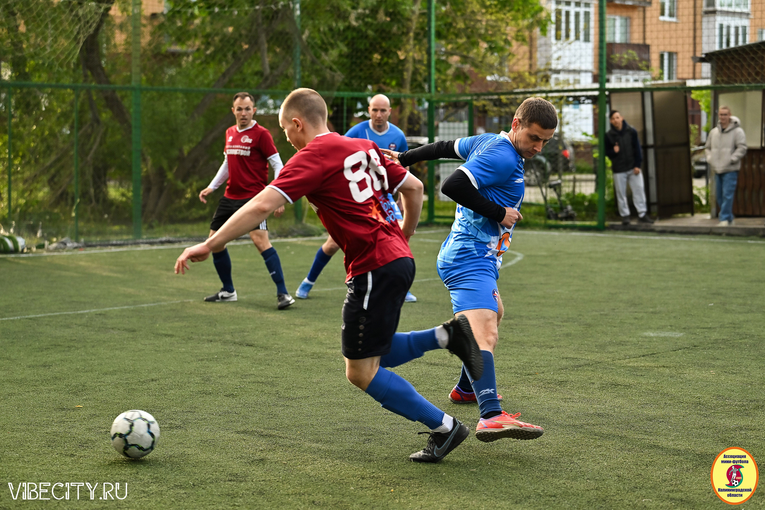 ИГРЫ МИНИ-ФУТБОЛЬНОЙ ЛИГИ. VIBECITY.RU Вайб Сити Ру Фоторепортажи Фотоотчеты Калининград