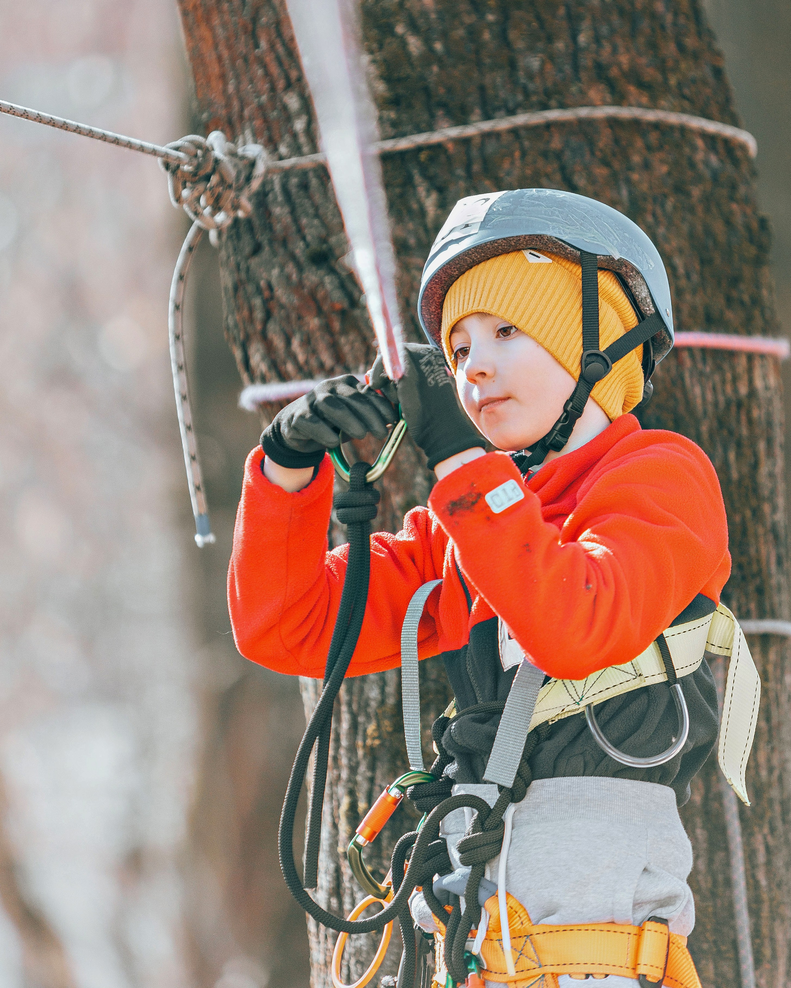 Первенство по спортивному туризму на пешеходных дистанциях. Выпускные альбомы и школьный фотограф в Подольске, Троицке, Щербинке, Москве и Московской области