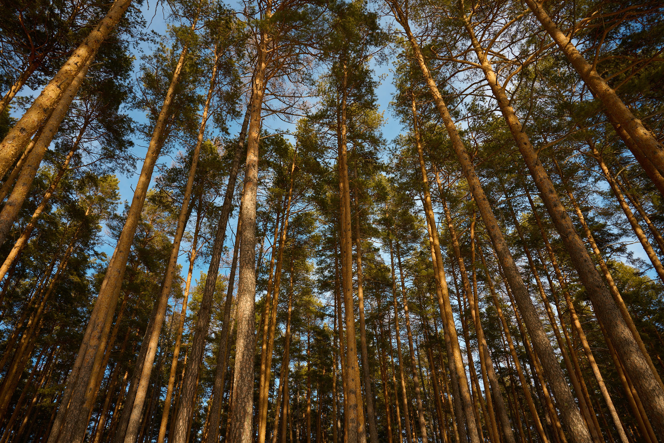 Пейзажи. Яркие фото на Чёрном море