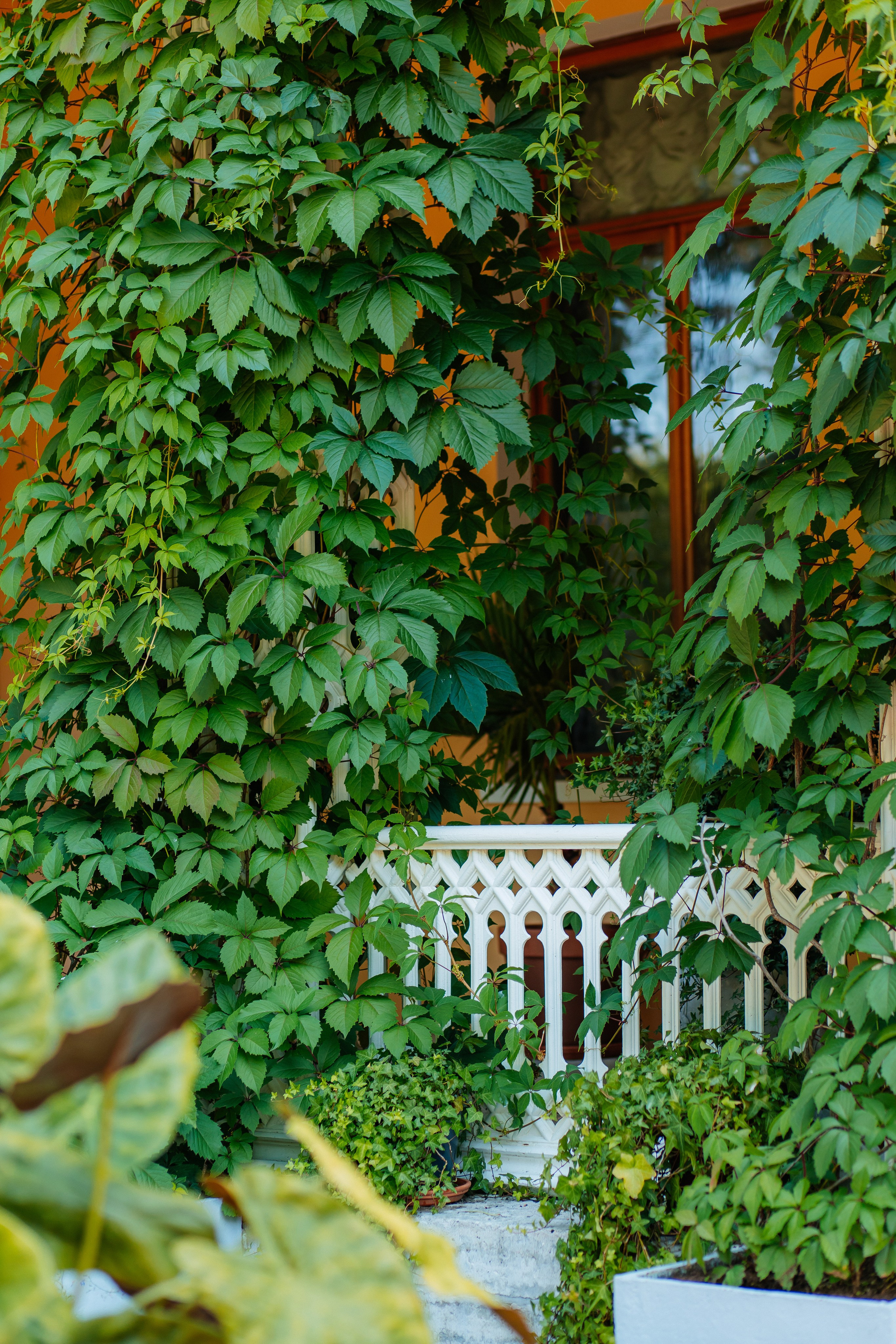 ФОТОСЕССИЯ В ПЕТЕРГОФЕ. ГДЕ СНИМАТЬ В ПЕТЕРГОФЕ