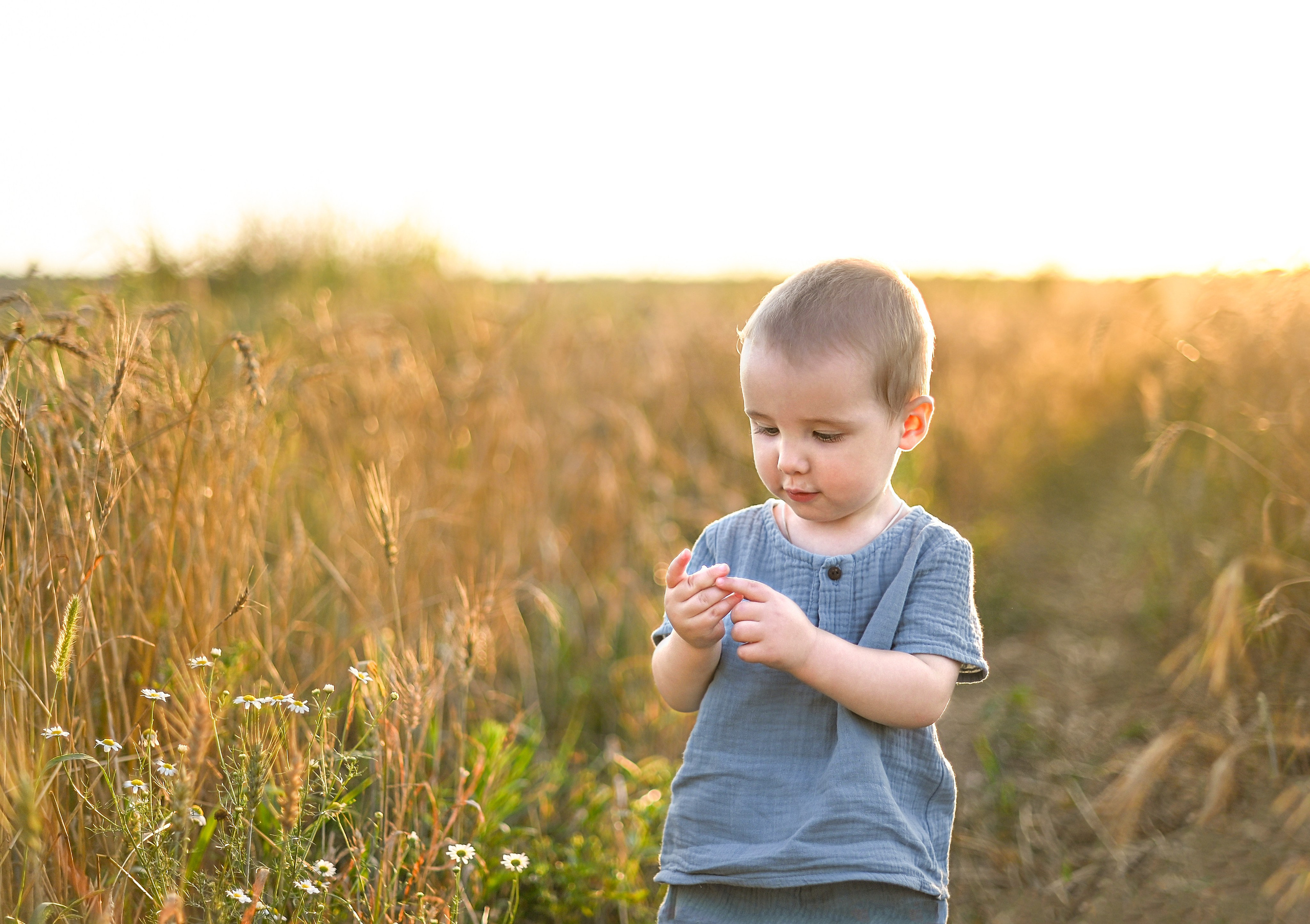 Пшеница. Детский и семейный фотограф г. Москва Оксана Катаджи