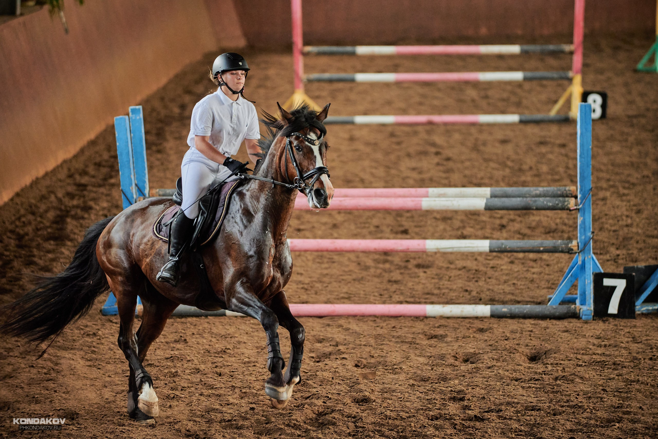 Съемка соревнований по конкуру для Риат. Фотограф в Иваново: Каталожная съемка одежды и постельного белья, Wildberries