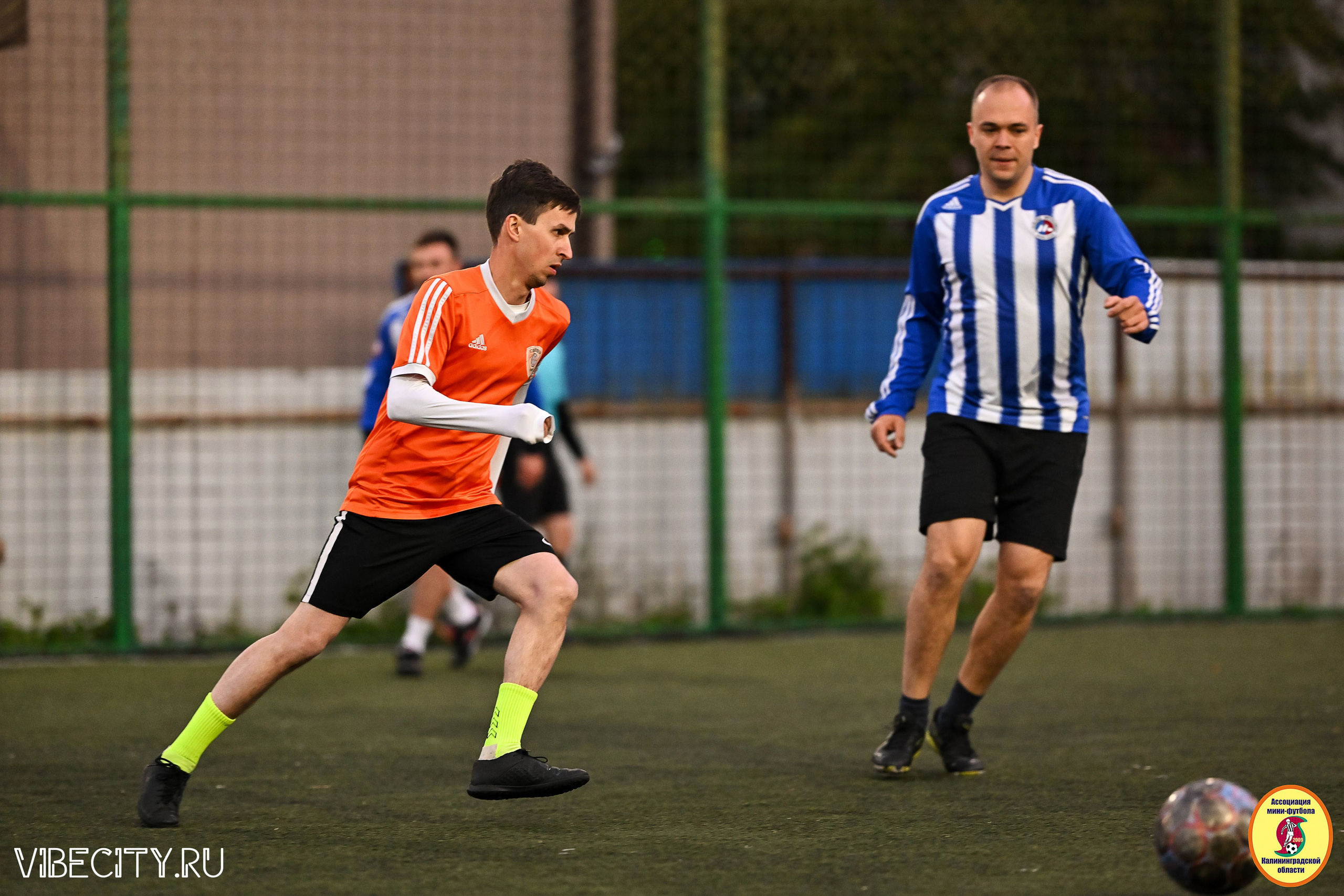 ИГРЫ МИНИ-ФУТБОЛЬНОЙ ЛИГИ. VIBECITY.RU Вайб Сити Ру Фоторепортажи Фотоотчеты Калининград