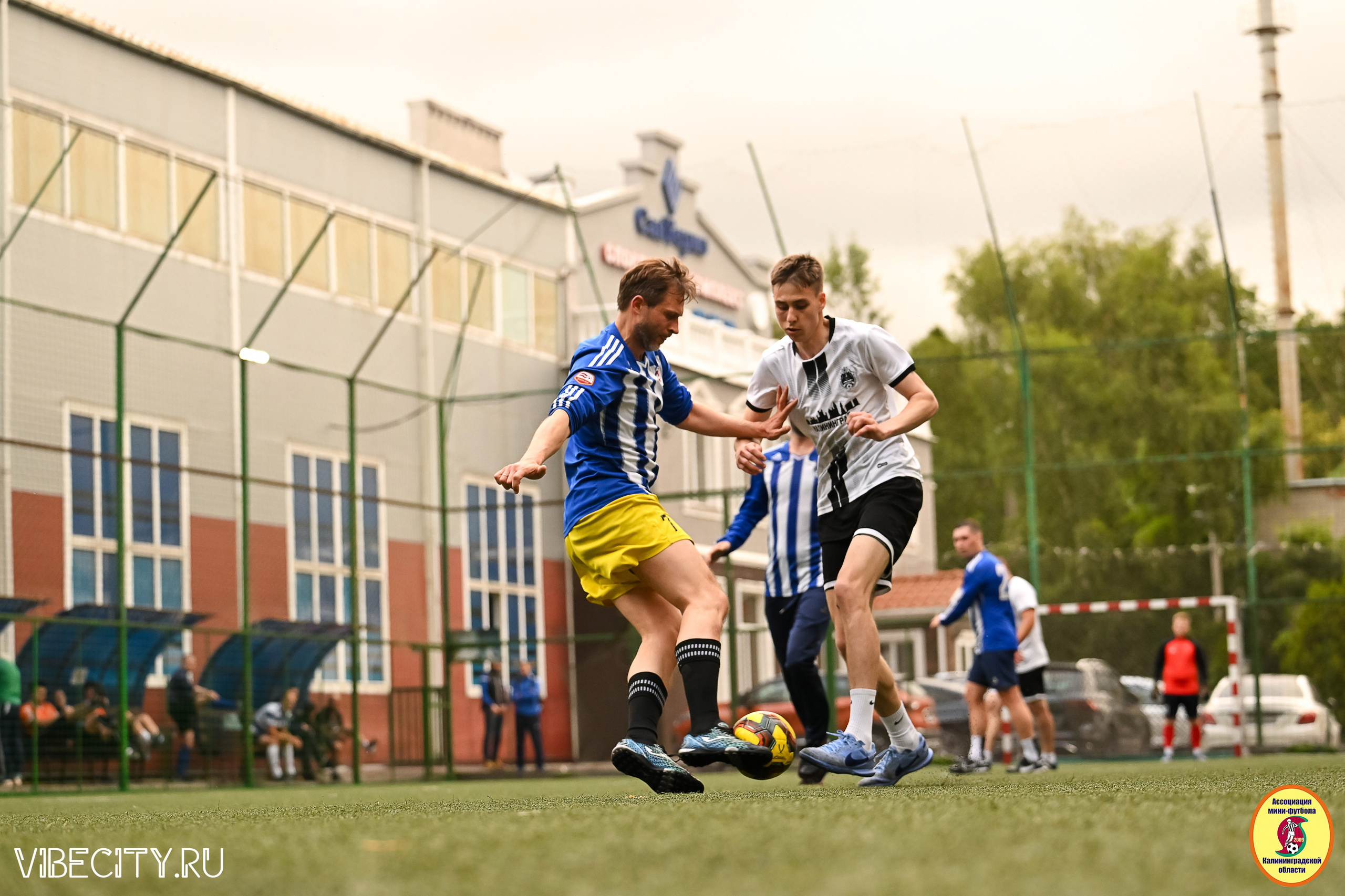 ИГРЫ МИНИ-ФУТБОЛЬНОЙ И КОРПОРАТИВНОЙ ЛИГИ. VIBECITY.RU Вайб Сити Ру Фоторепортажи Фотоотчеты Калининград