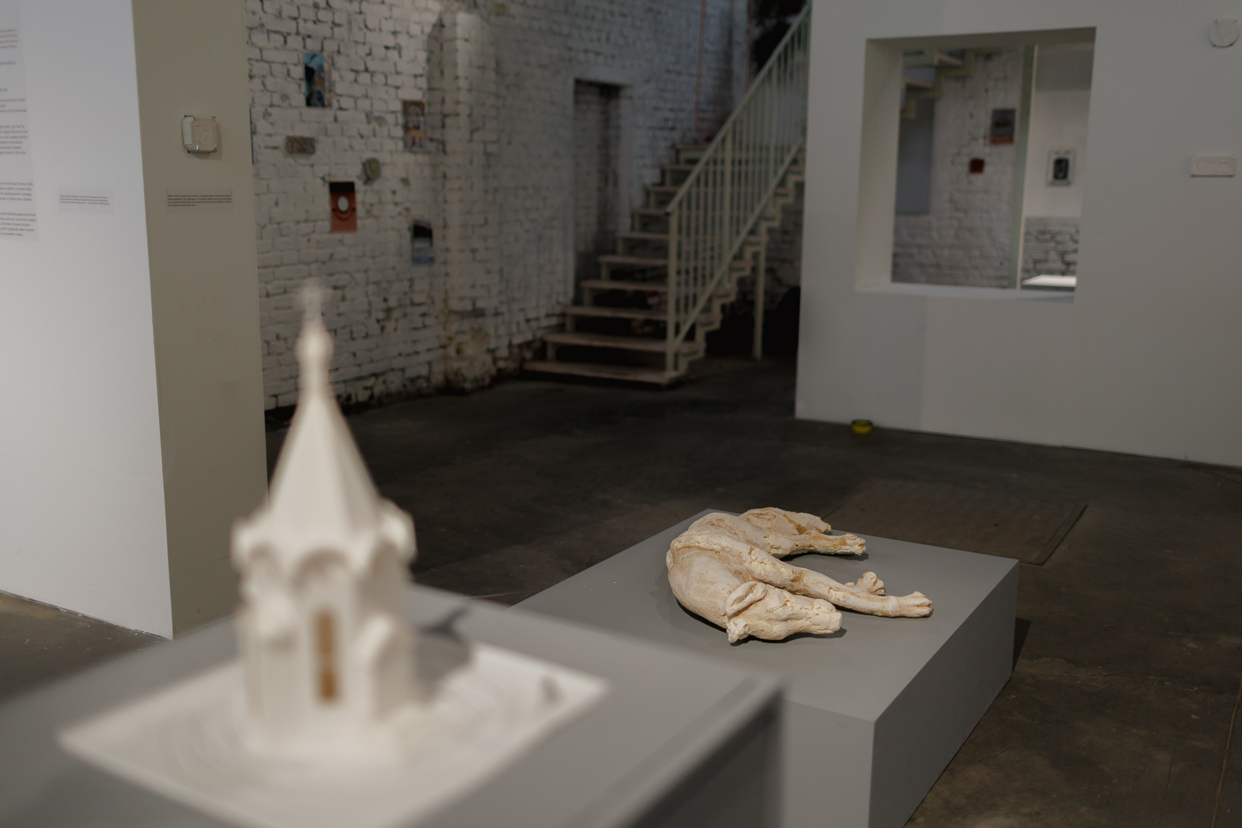 Жив был пёс. Собачий художник Поля Стриж