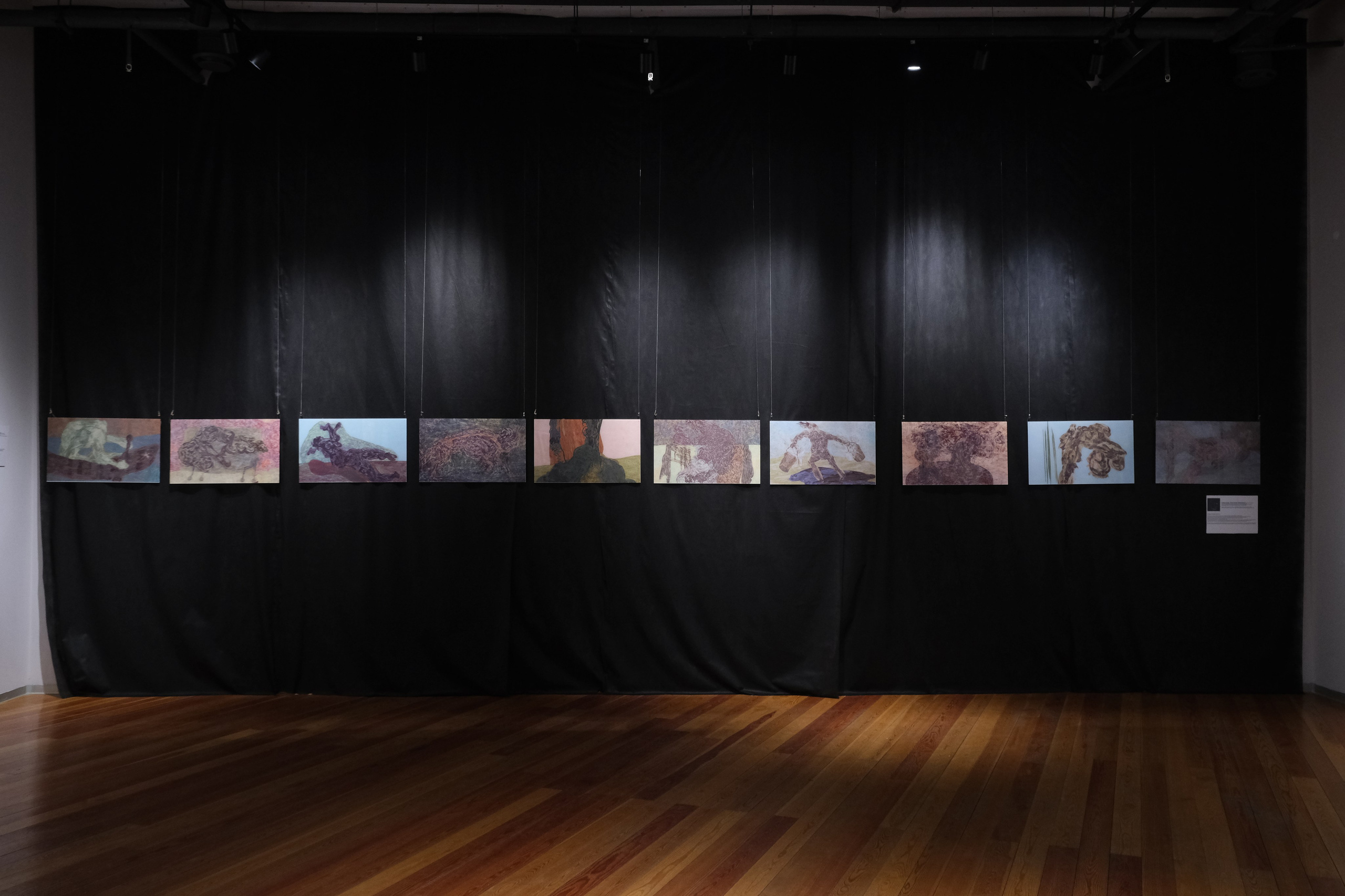 2024 Найденные дейтероскопы, ИКЦ, Калуга; Октава, Тула. Фотофильтрум