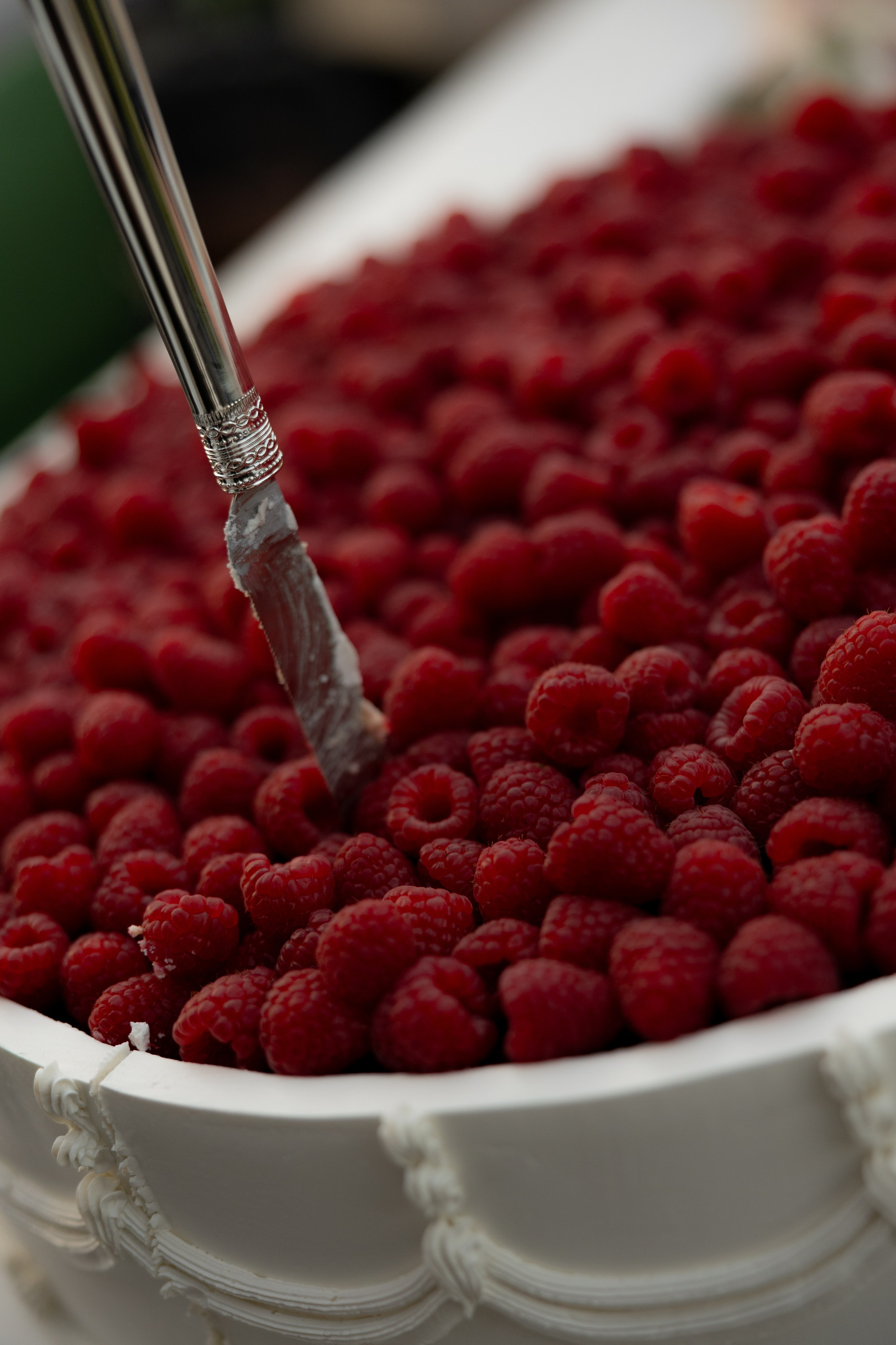 Стоимость. Фотограф в Санкт-Петербурге Шевченко Наталья