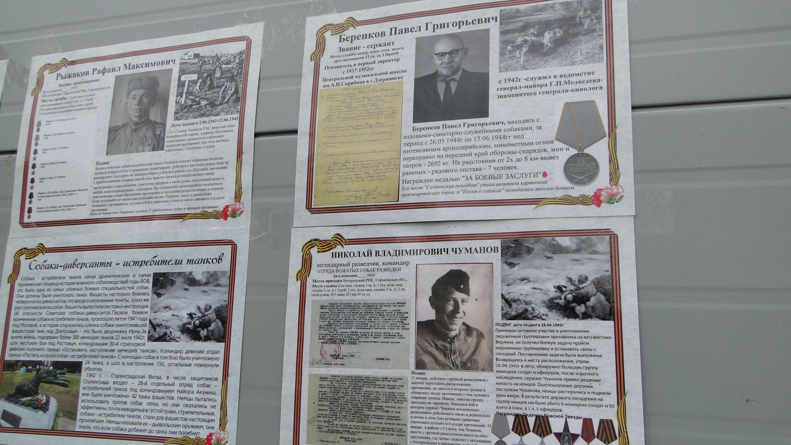 Кинологические старты. НРОО КЦ "Собаковод"