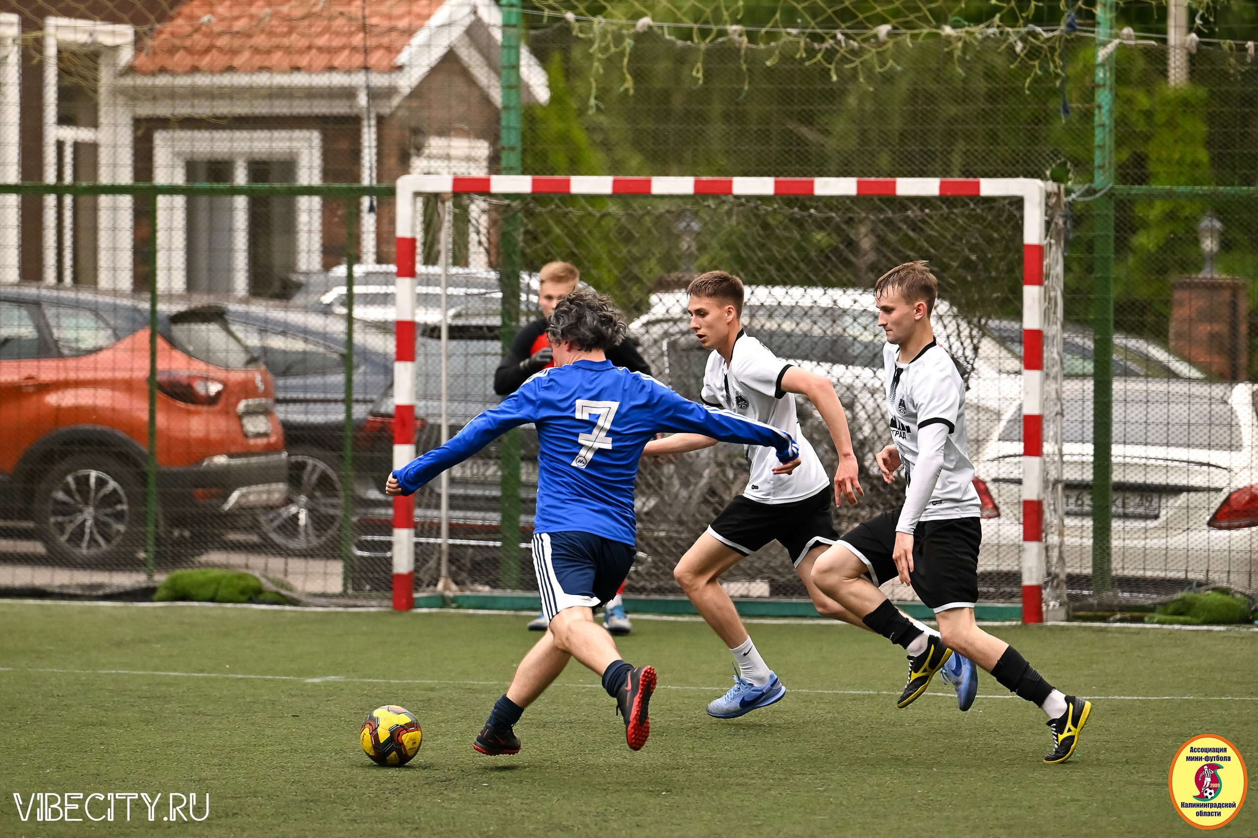ИГРЫ МИНИ-ФУТБОЛЬНОЙ И КОРПОРАТИВНОЙ ЛИГИ. VIBECITY.RU Вайб Сити Ру Фоторепортажи Фотоотчеты Калининград