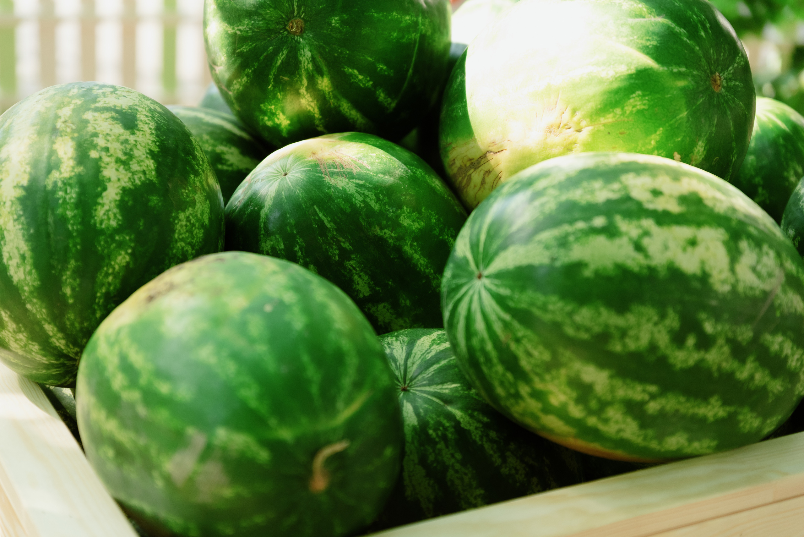 Перекрёсток на Фестивале российского рока. Фотограф в Москве