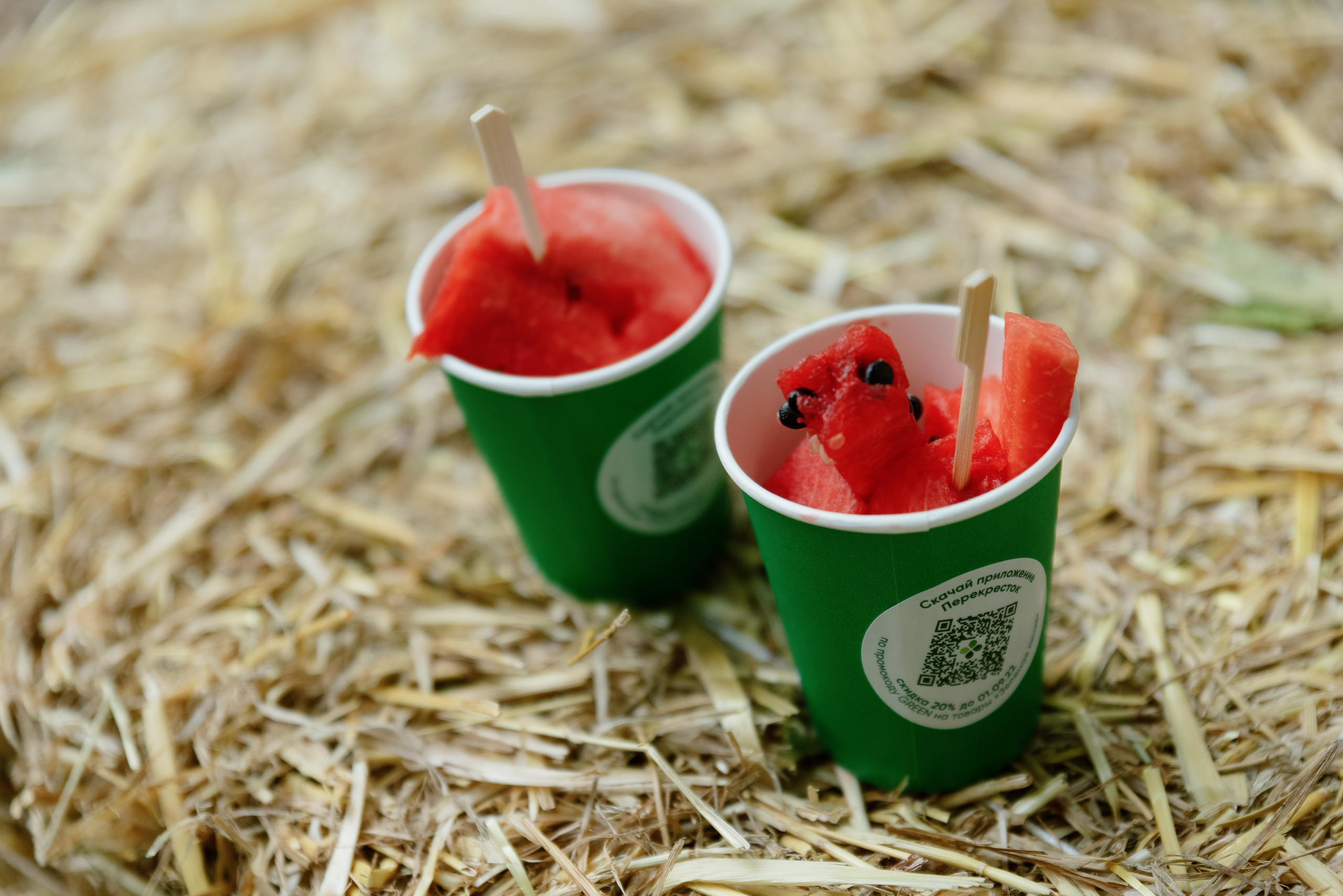 Перекрёсток на Фестивале российского рока. Фотограф в Москве