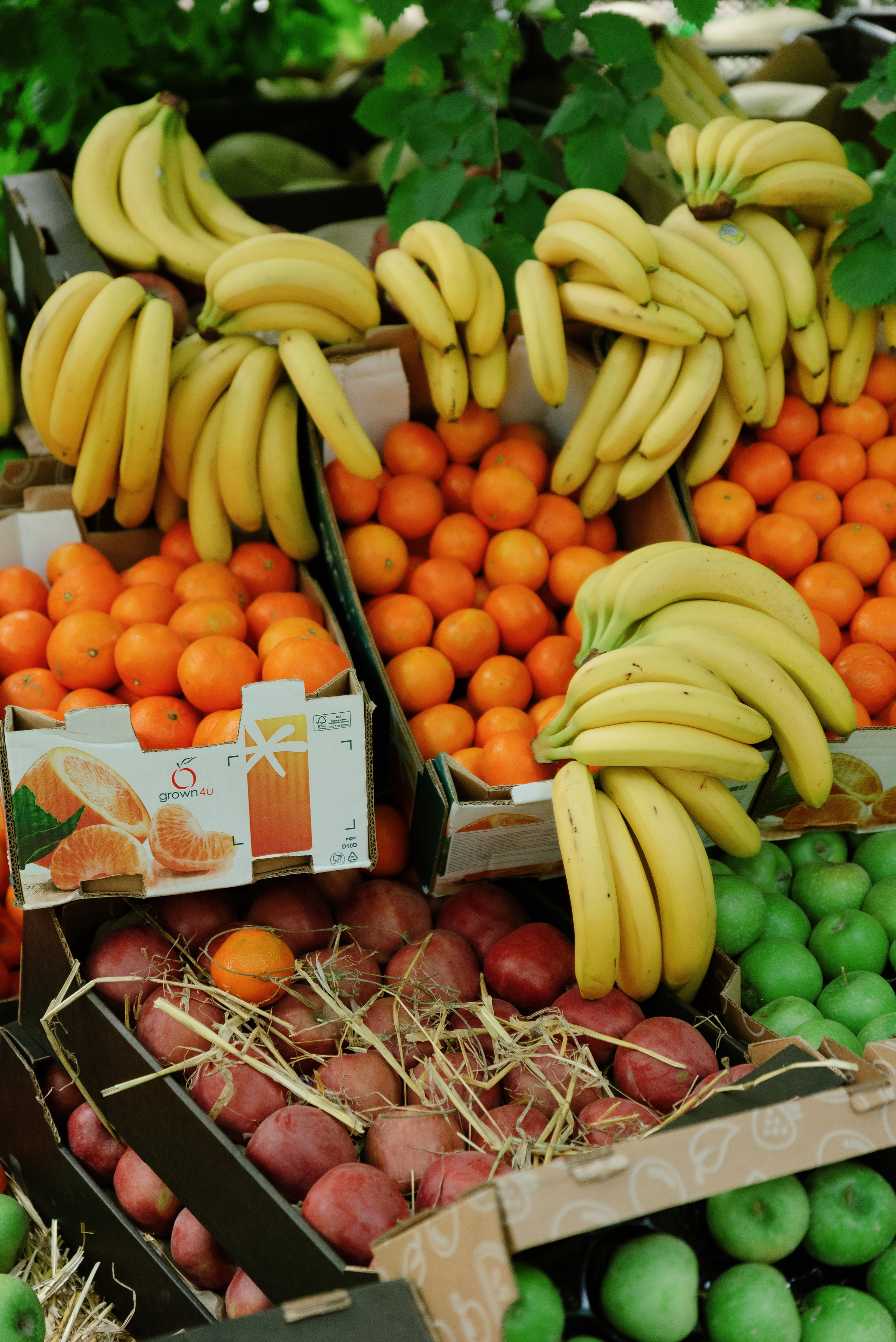 Перекрёсток на Фестивале российского рока. Фотограф в Москве