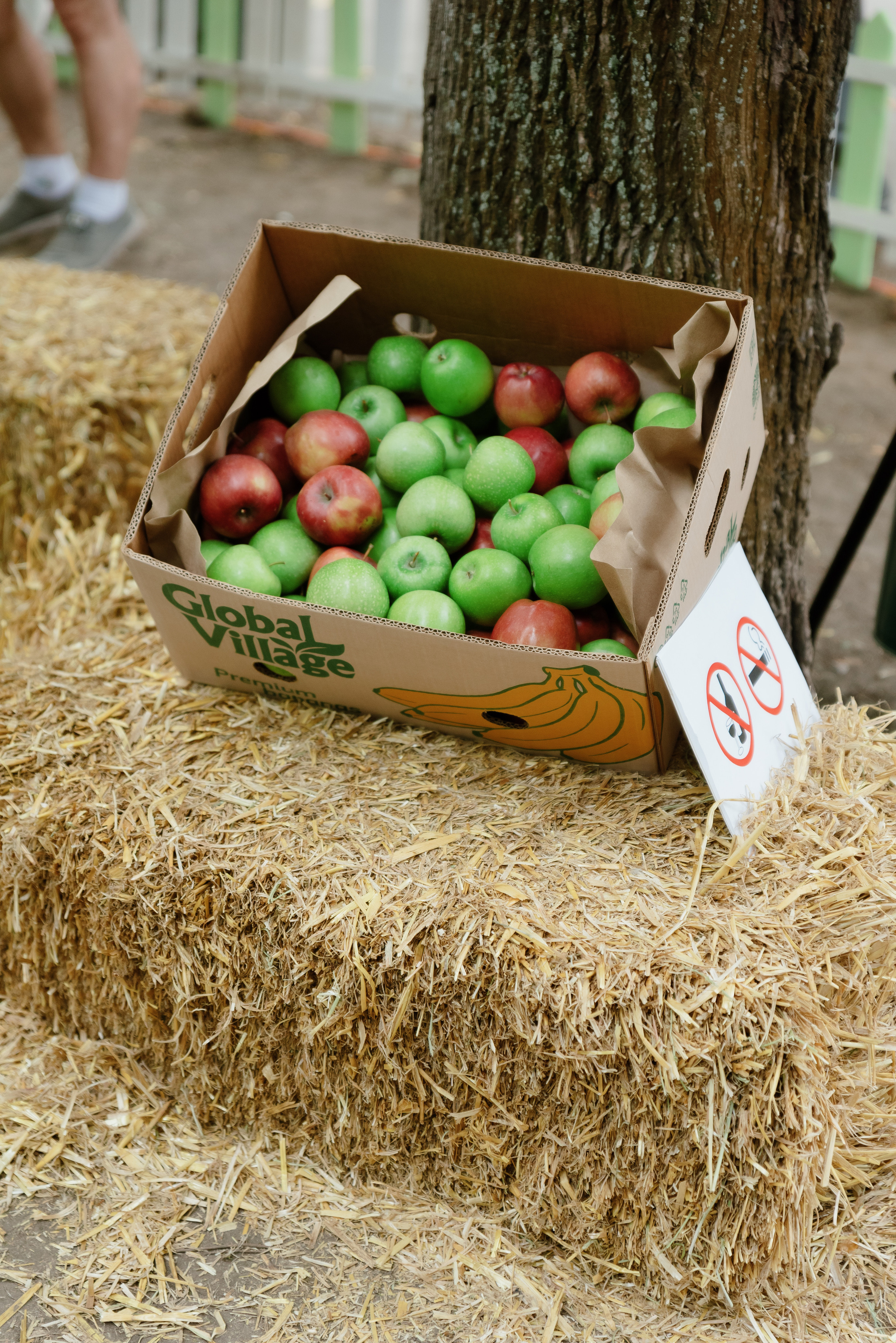 Перекрёсток на Фестивале российского рока. Фотограф в Москве