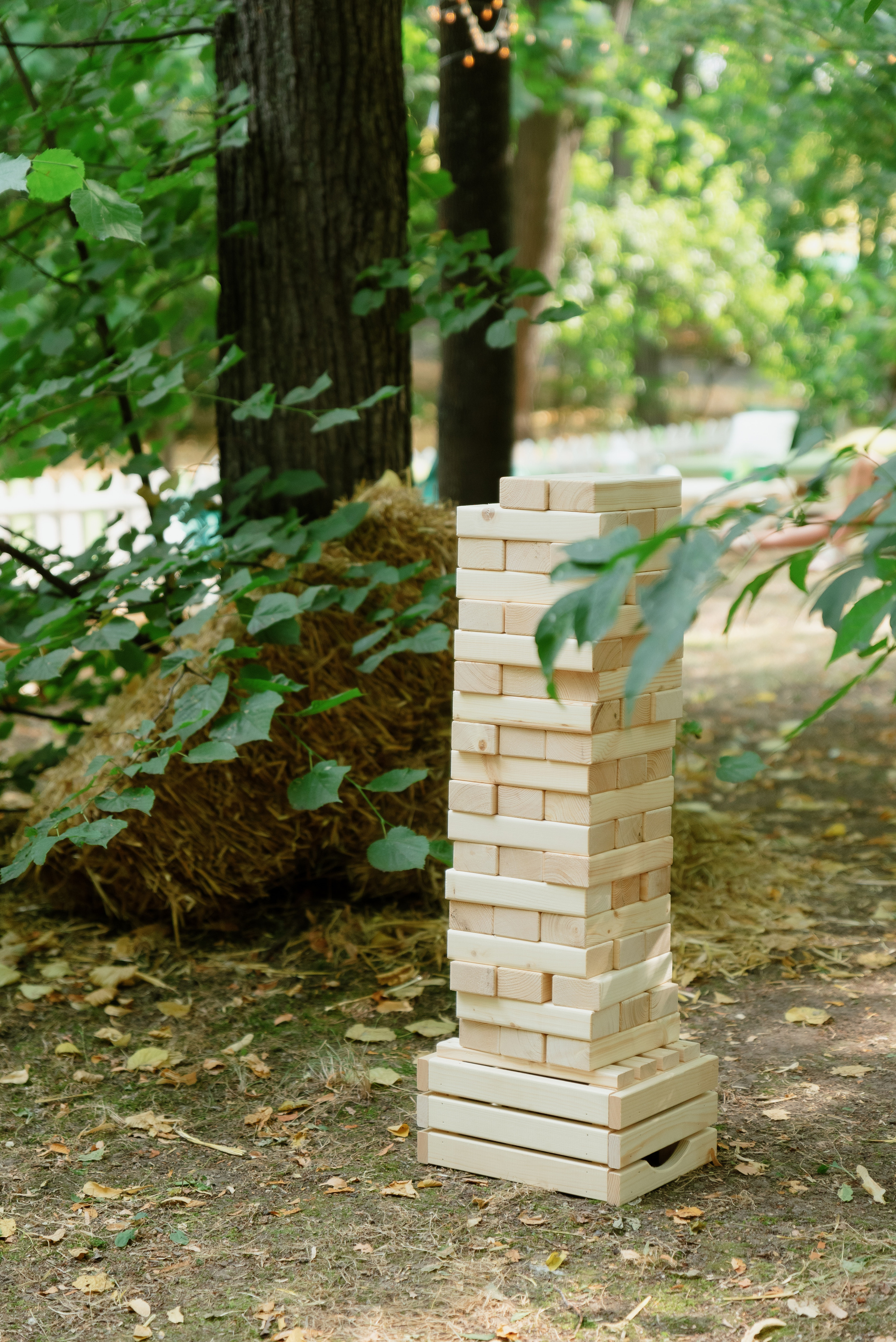 Перекрёсток на Фестивале российского рока. Фотограф в Москве