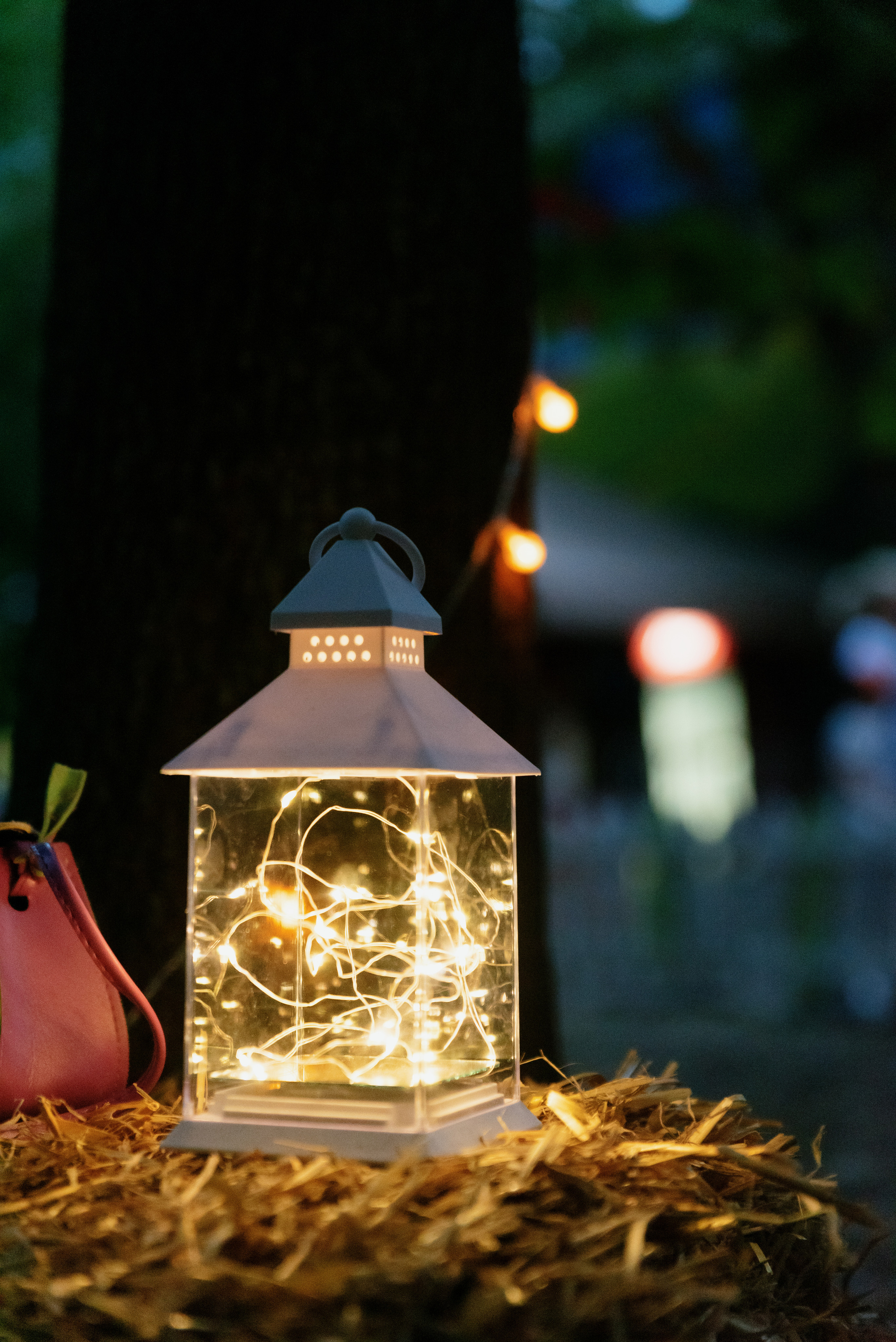 Перекрёсток на Фестивале российского рока. Фотограф в Москве