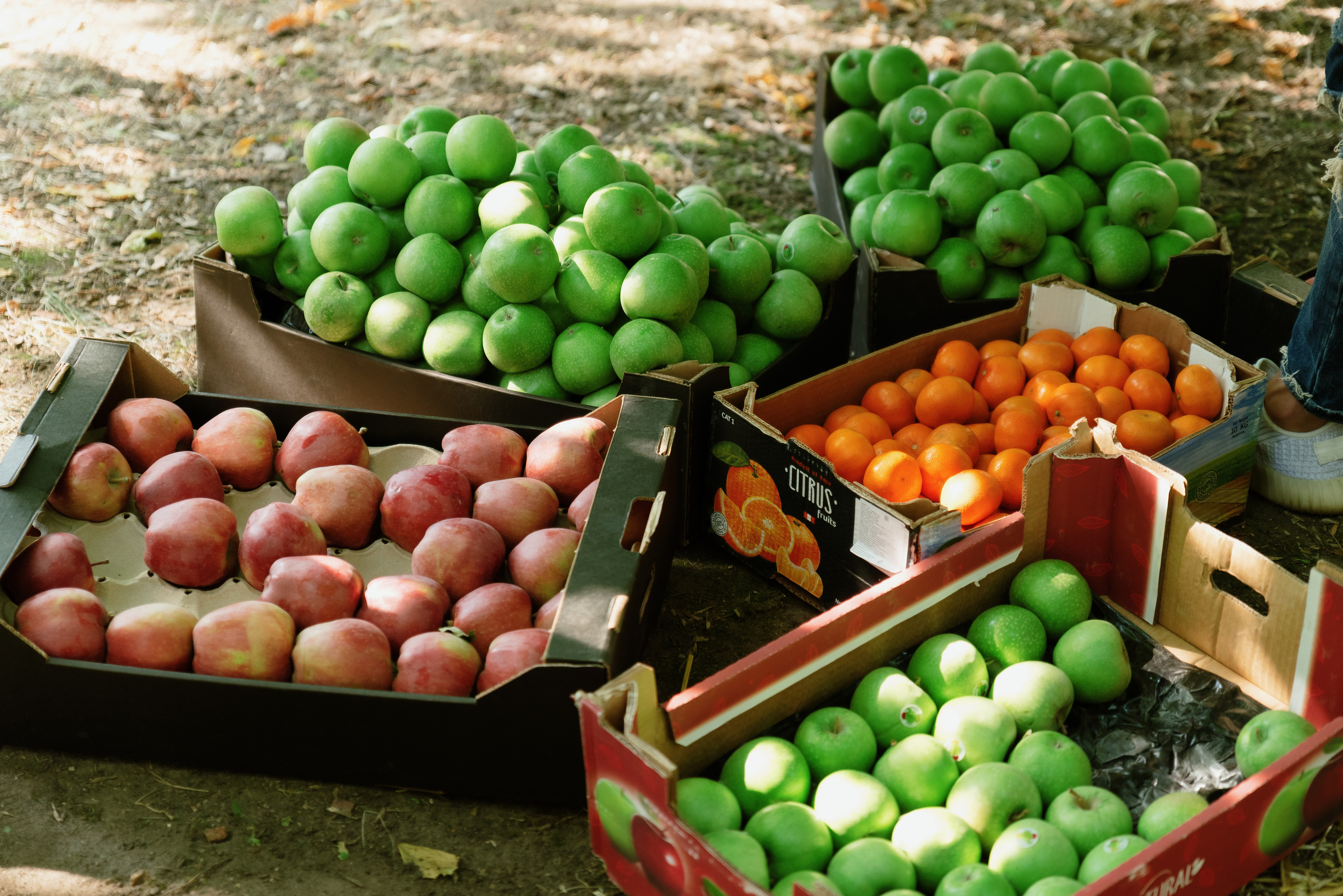 Перекрёсток на Фестивале российского рока. Фотограф в Москве