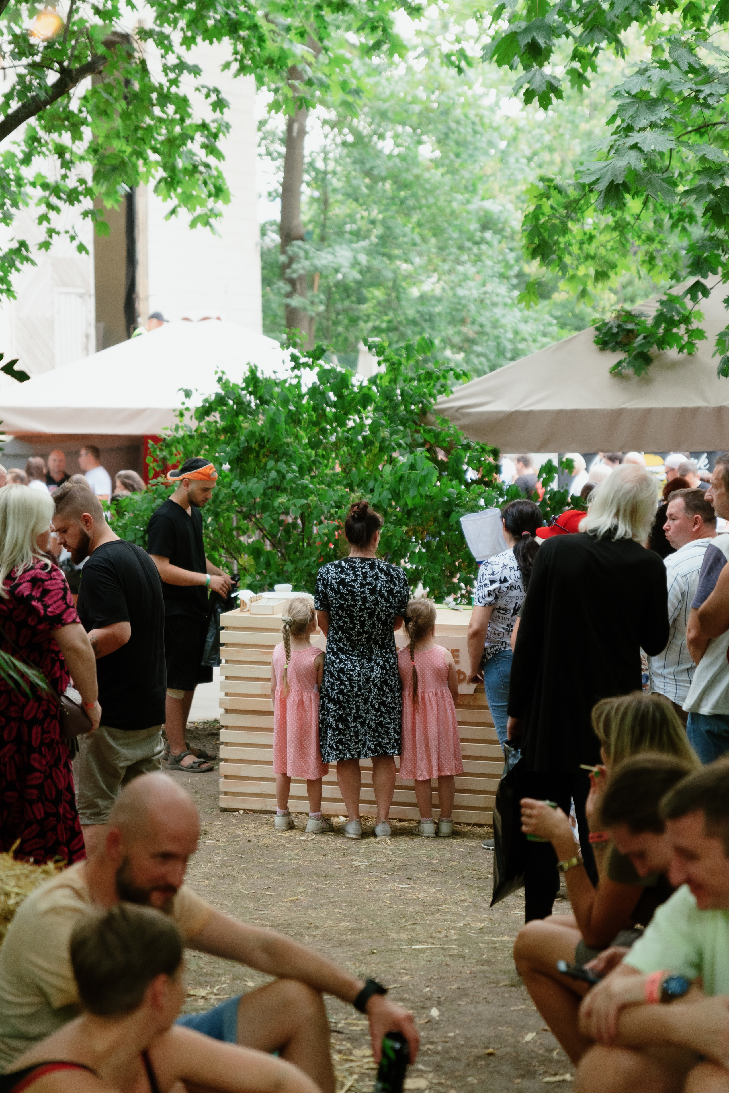 Перекрёсток на Фестивале российского рока. Фотограф в Москве