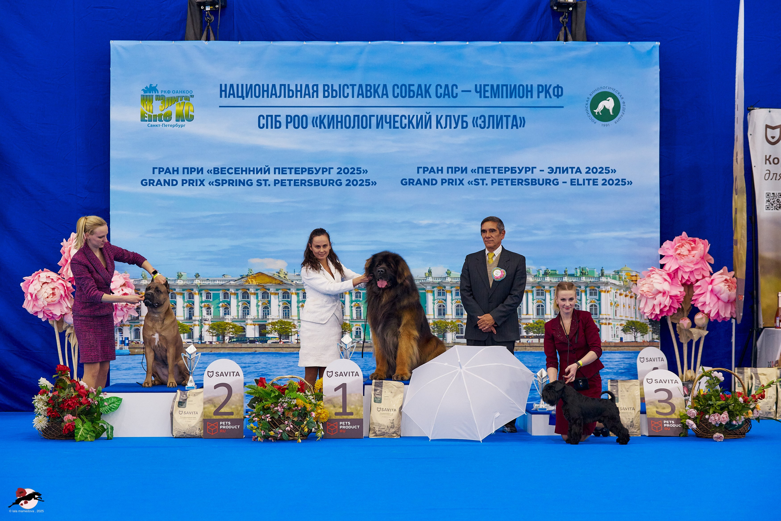 ГРАН ПРИ «ВЕСЕННИЙ ПЕТЕРБУРГ» & «СУПЕР КУБОК «ЭЛИТЫ»-2025»