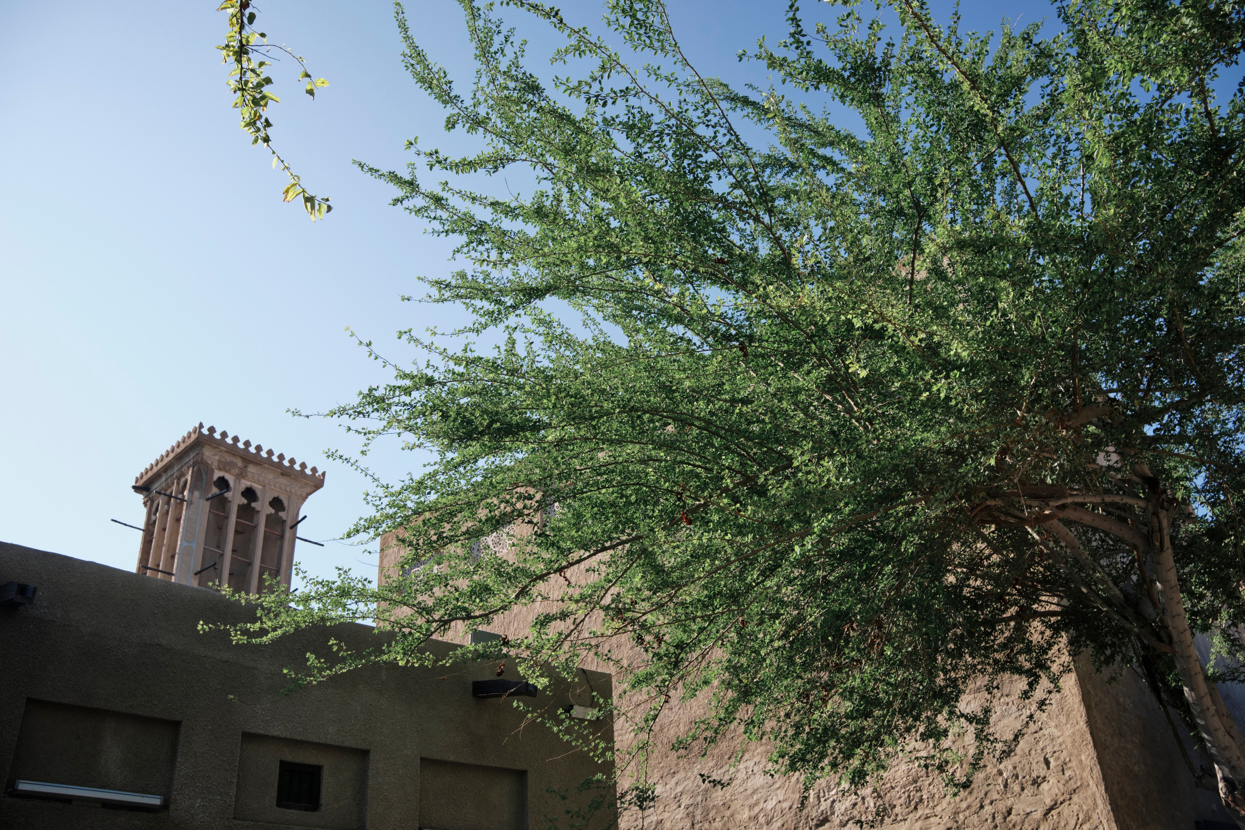 Дубай. Елена Павленко. Фотограф. Москва