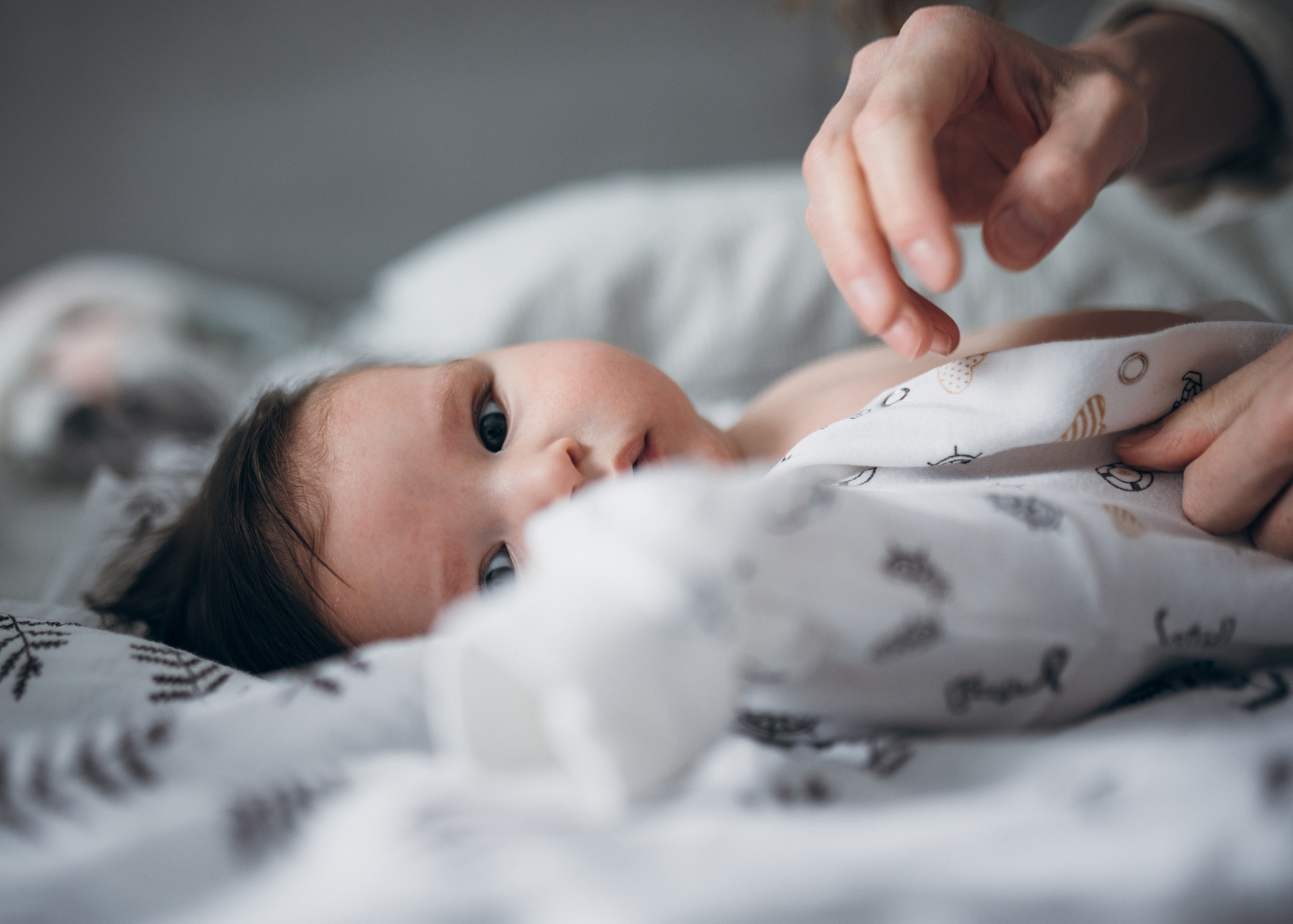 Домашняя съёмка. ✖‿📷 Фотограф| Москва