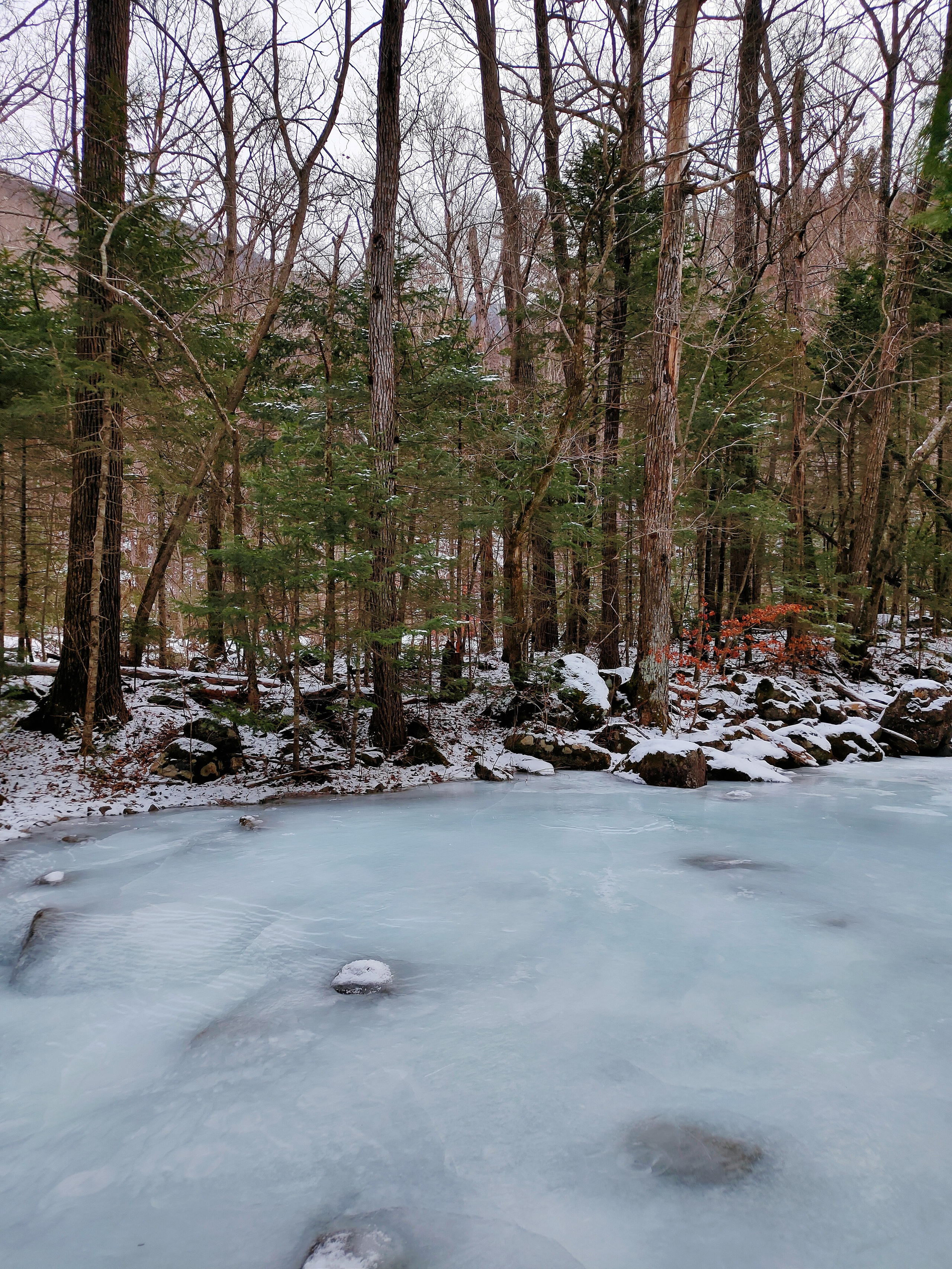 Голубой лёд и сосновый лес около Анисимовки и Смольного ключа