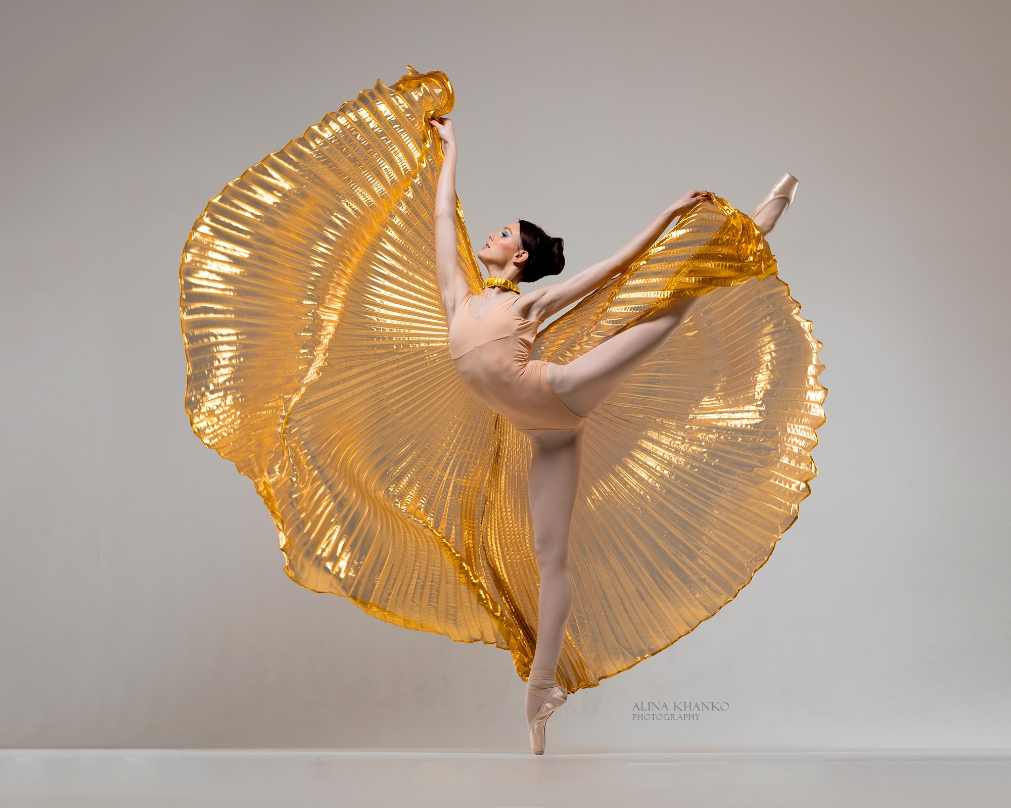 Крылья золотые напрокат бесплатно. Балетный фотограф Алина Ханько — Душа Балета